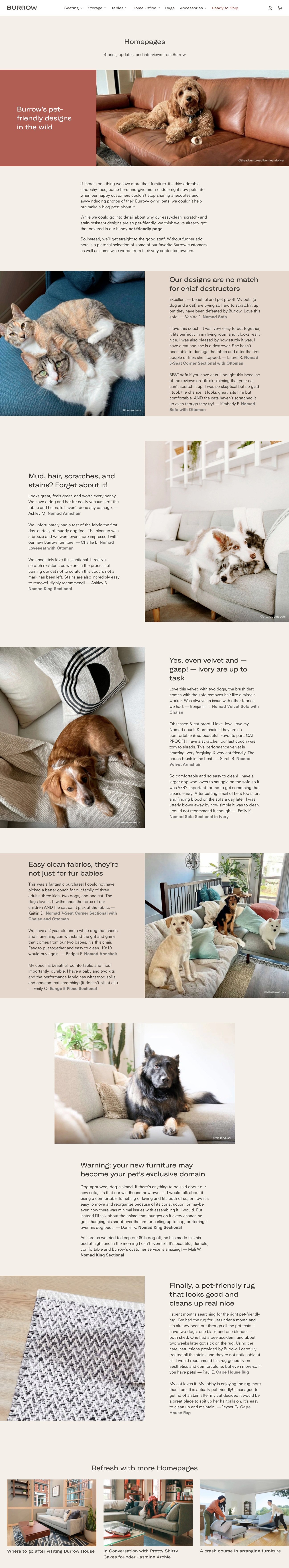 Pet-friendly+furniture++blog+post.jpg