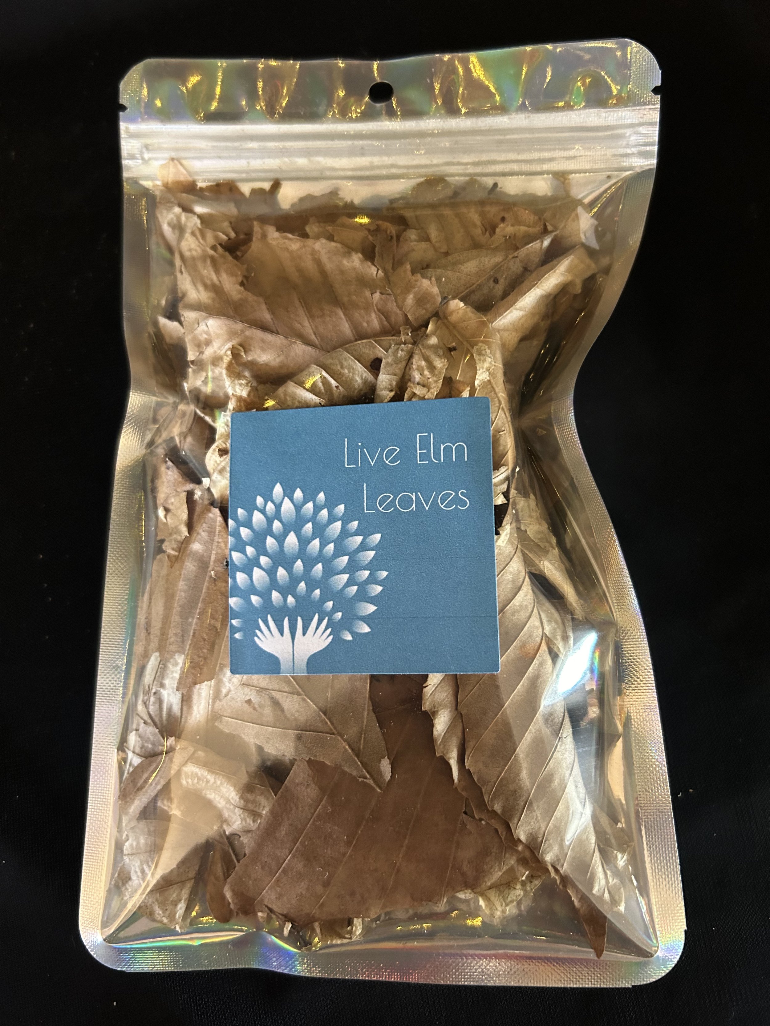 Live Elm Leaves