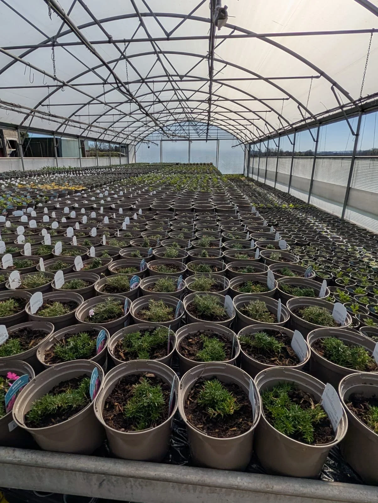 Preparing for the 2026 season!