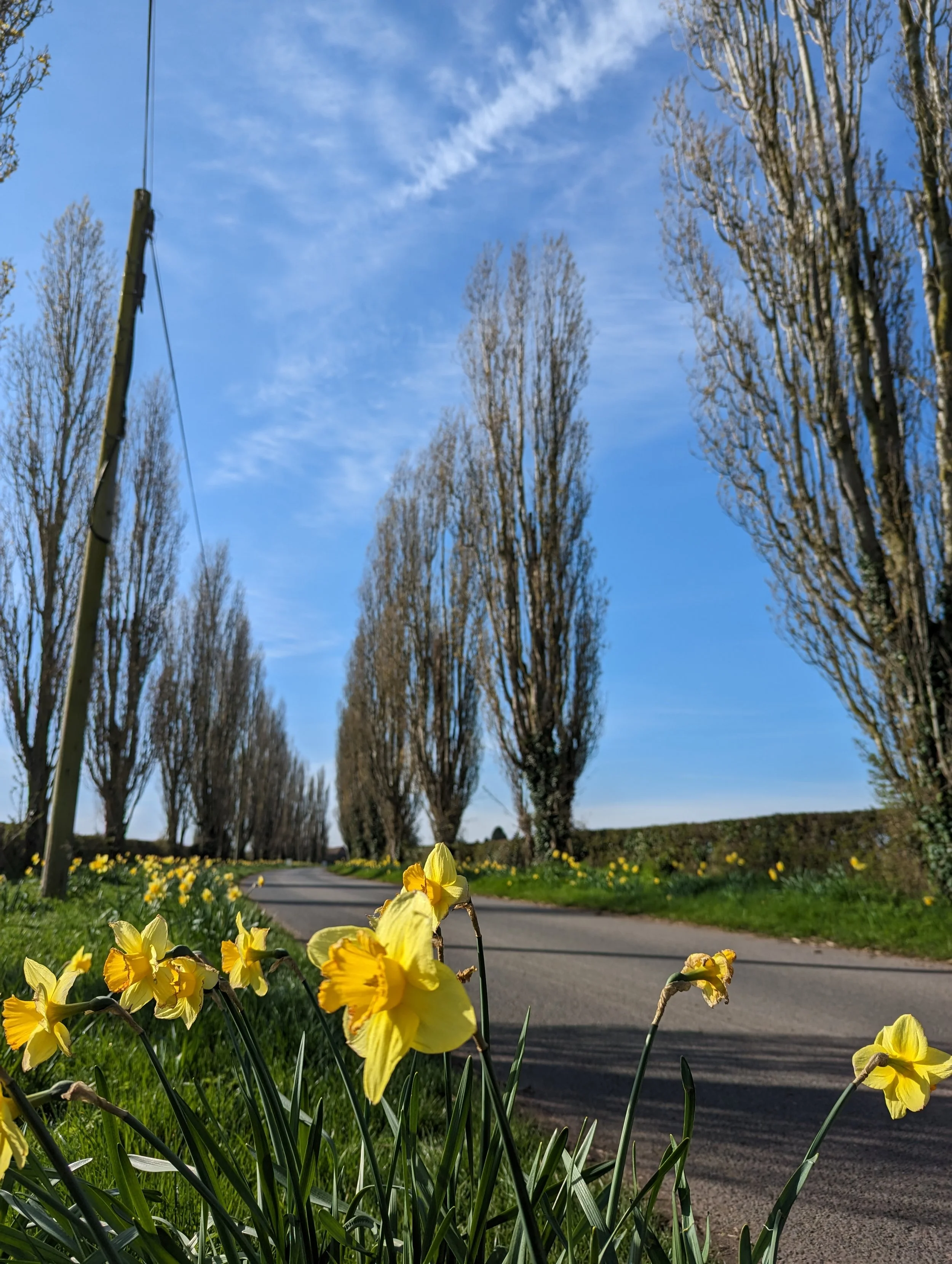 Front Drive in March