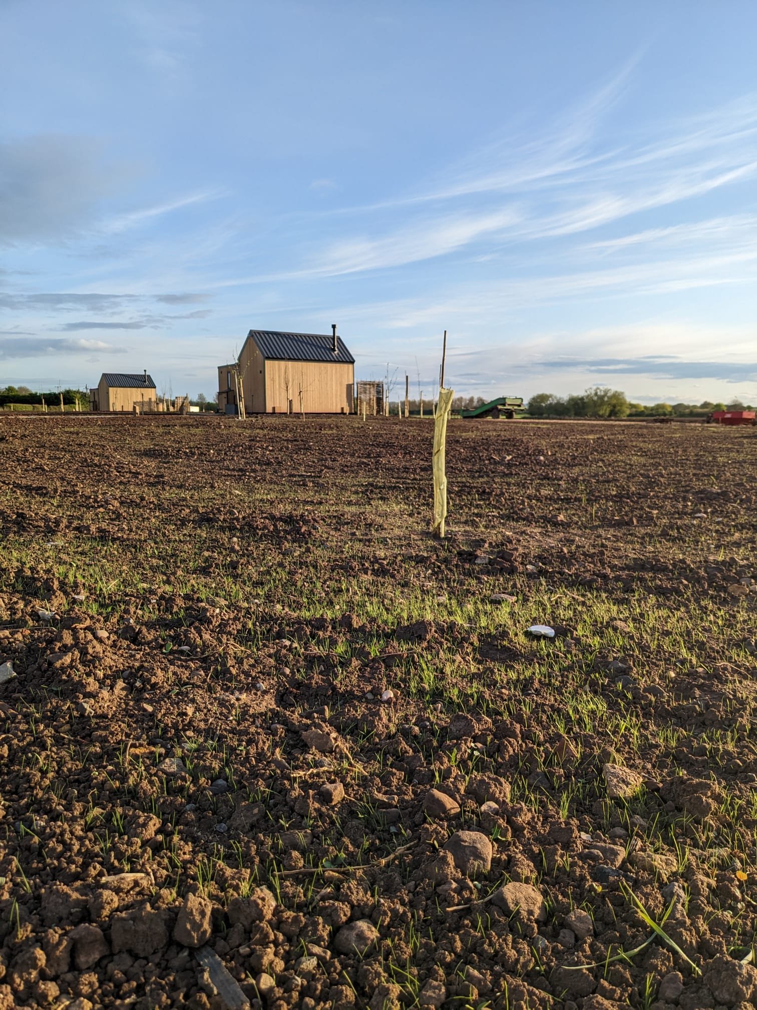 Meadow grass is on its way!