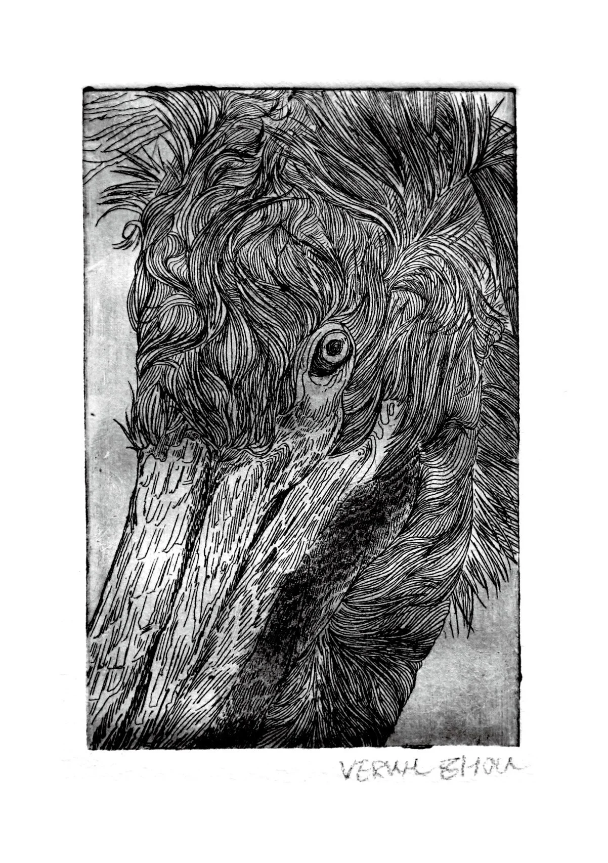 作品集2版普瑞特4 拷贝.jpg