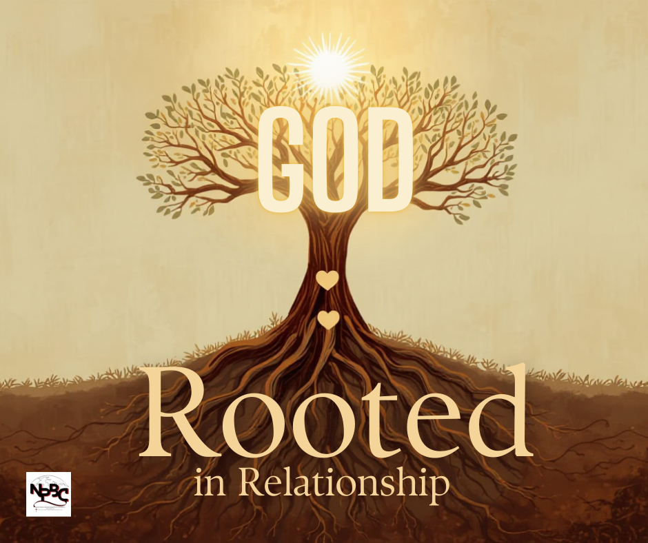 image of tree with prominent roots to show how we should be rooted in God.