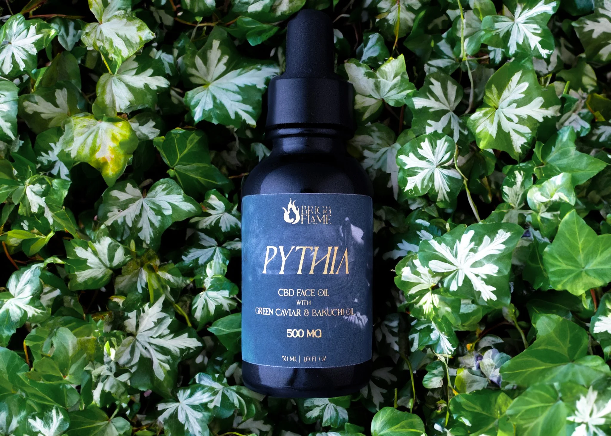 Potentional Photo 2.jpg