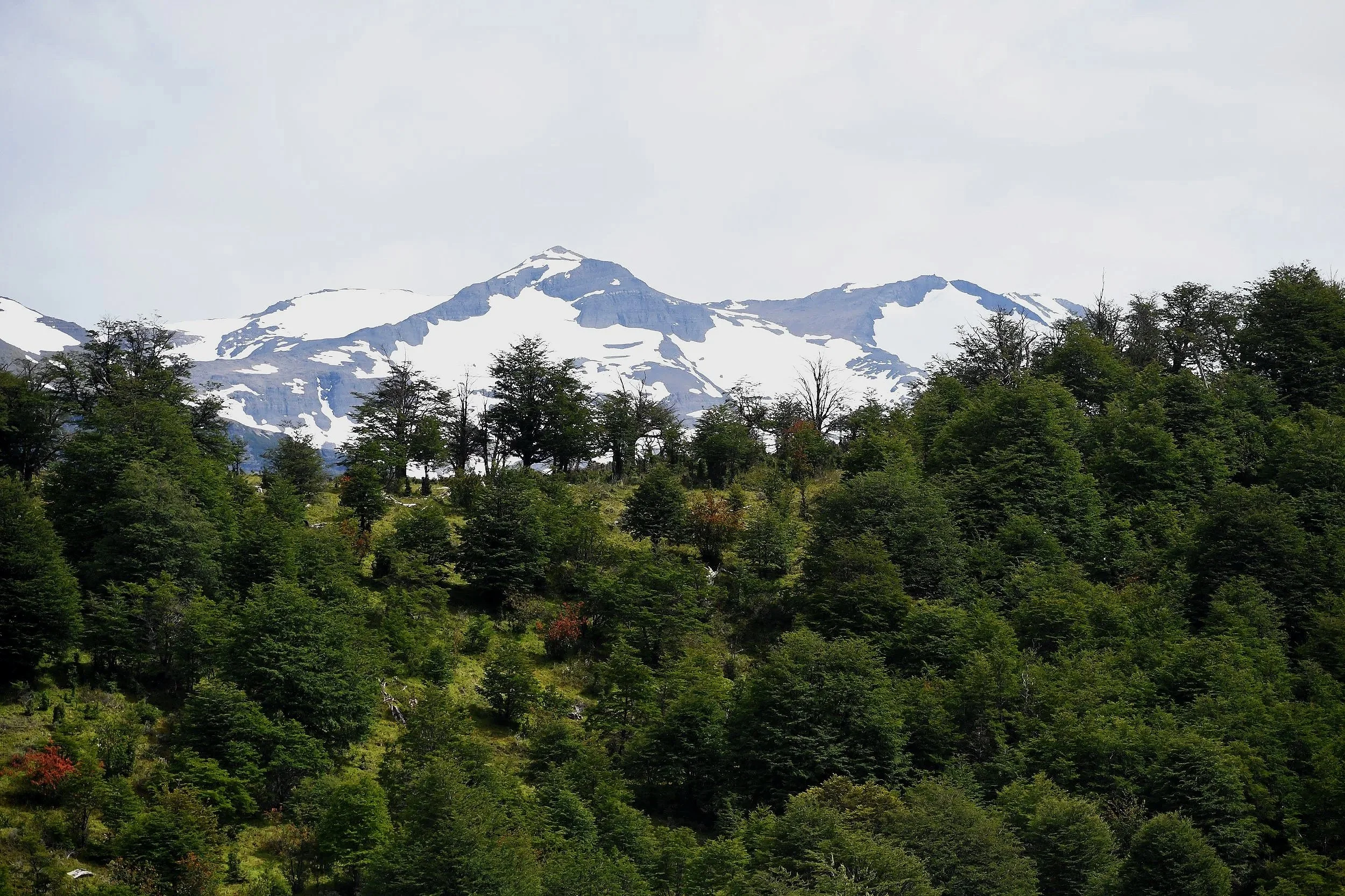 DSC_3963.jpg