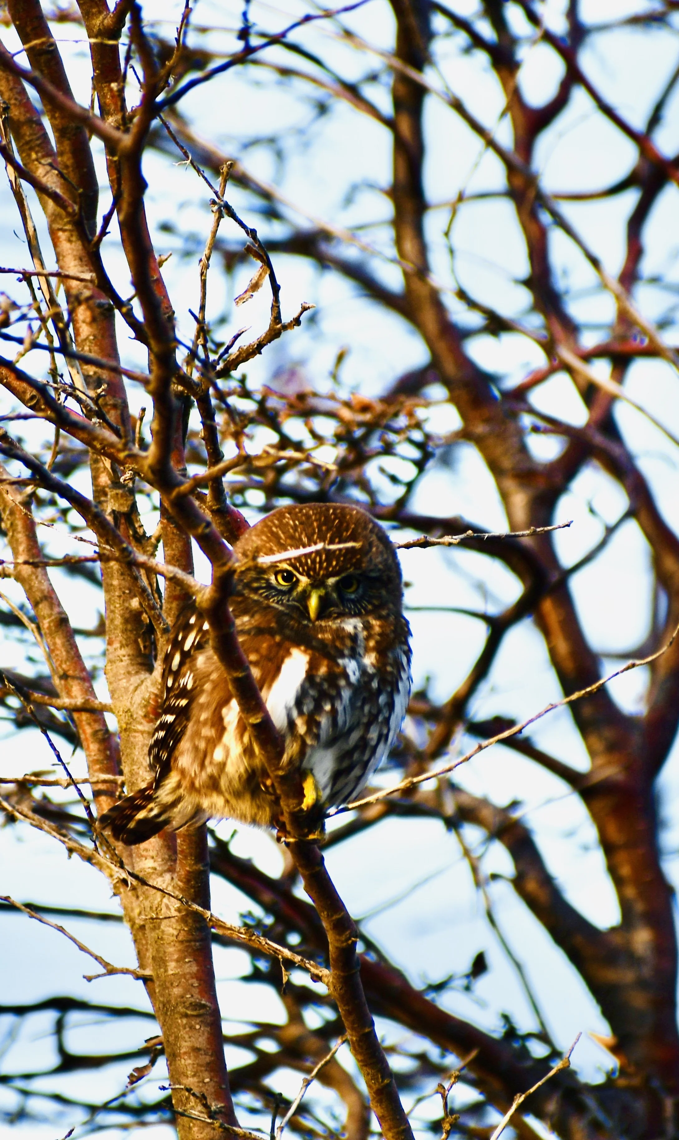DSC_4761.jpeg