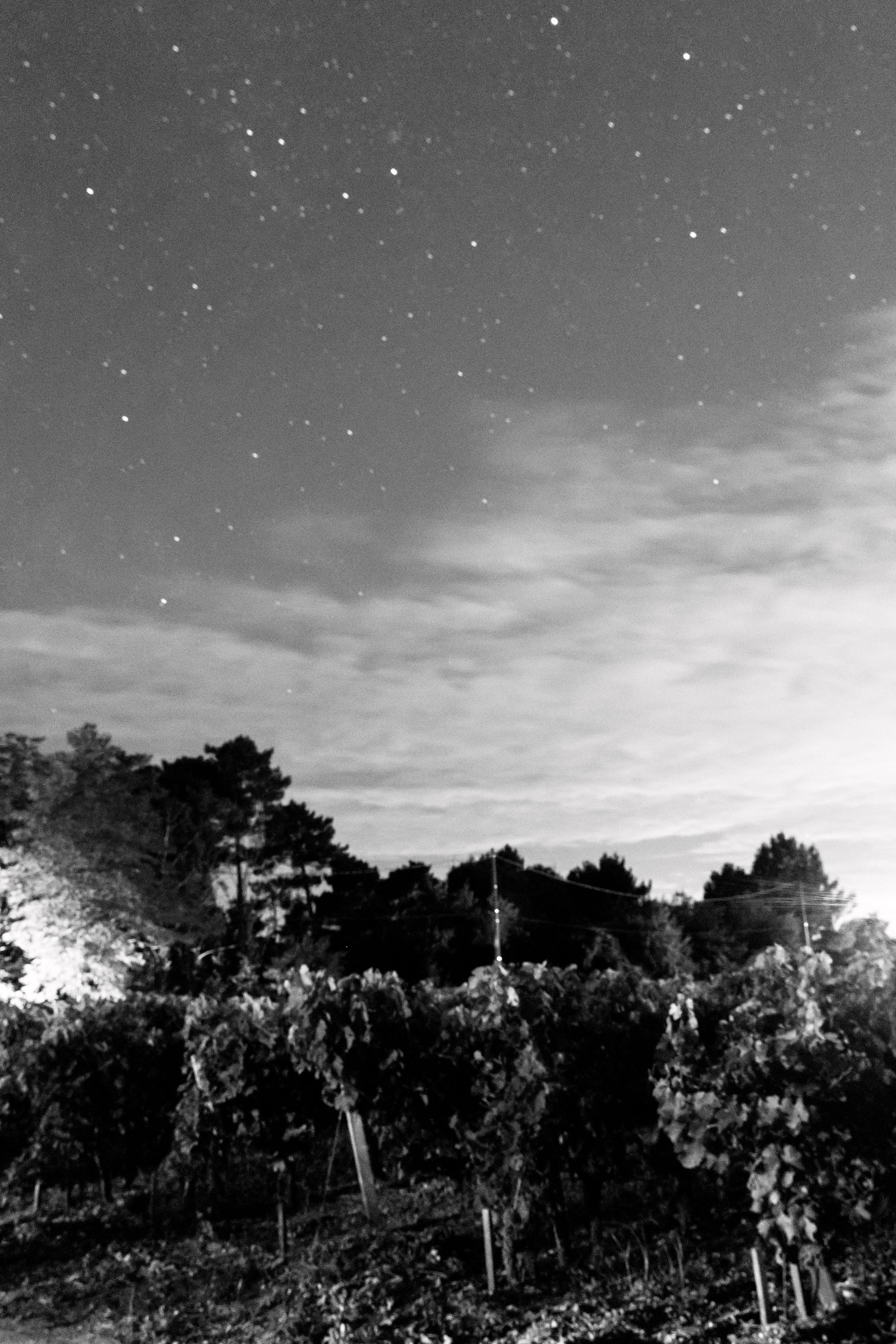 SarahLockhartPhotography_Bordeaux_France_Wedding_DO_098.jpg