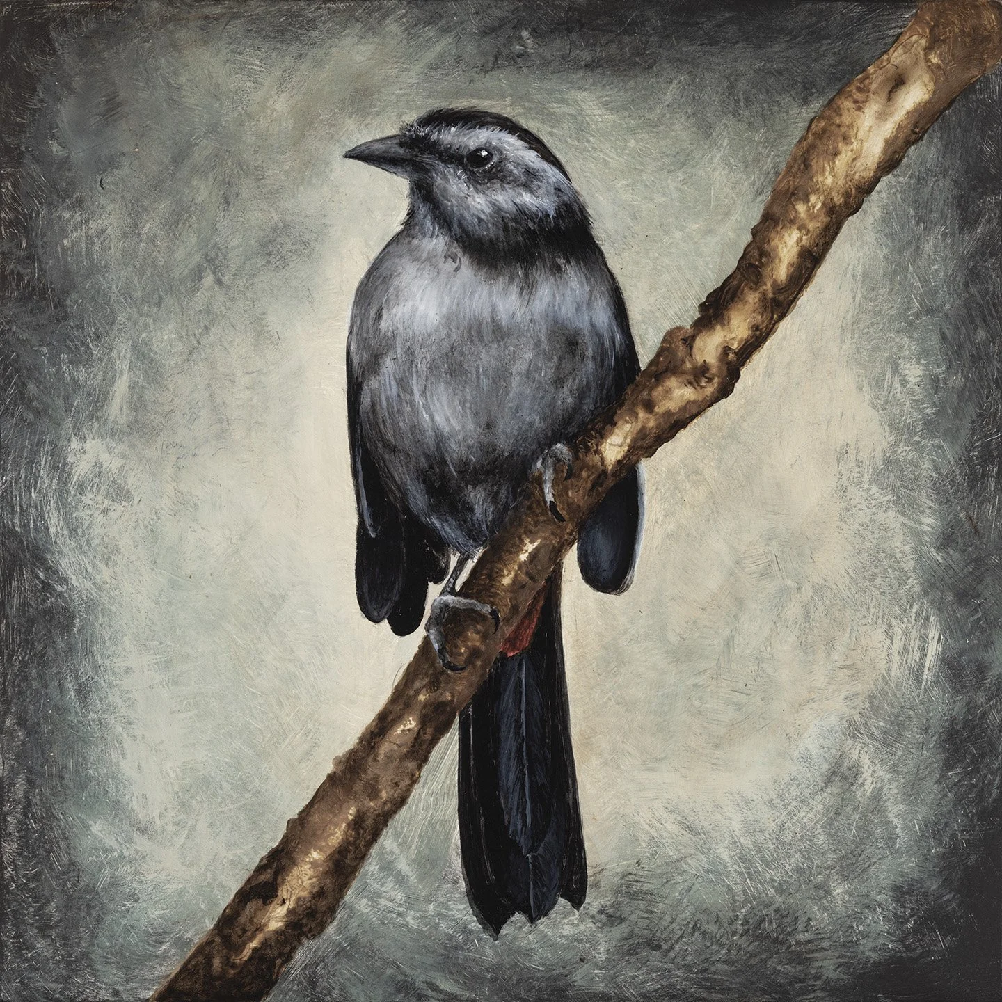 Catbird, Acrylic on wood panel, 8x8, 2026