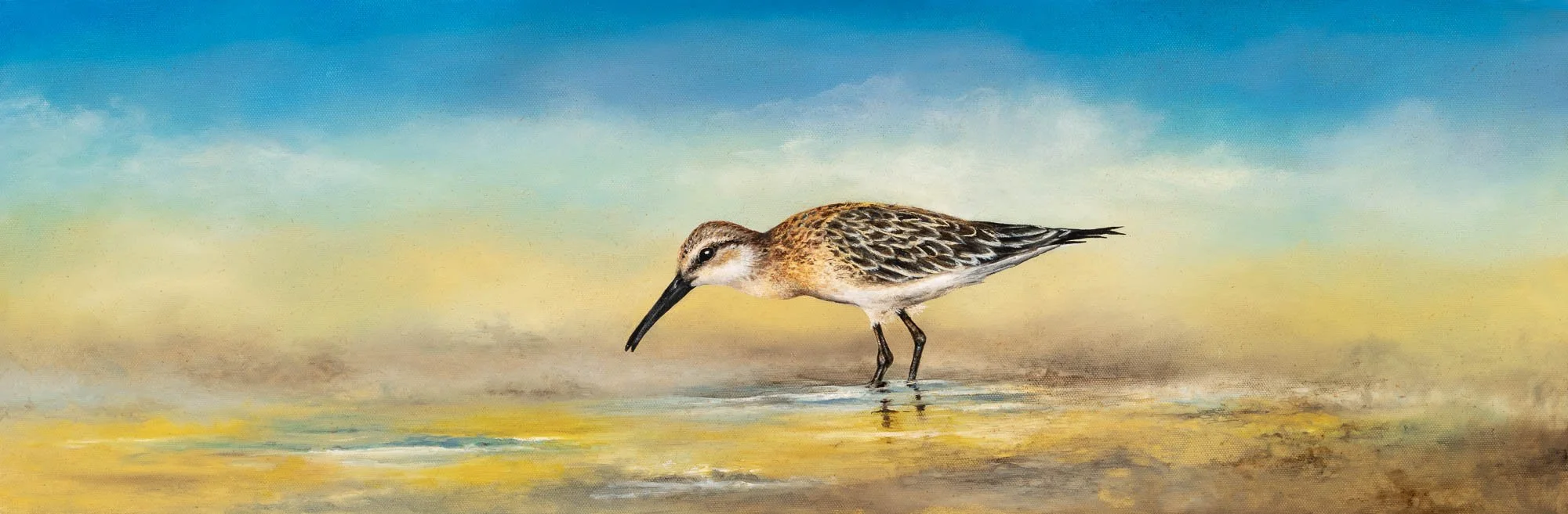 Curlew Sandpiper, 10 x 30, Oil on canvas, 2025