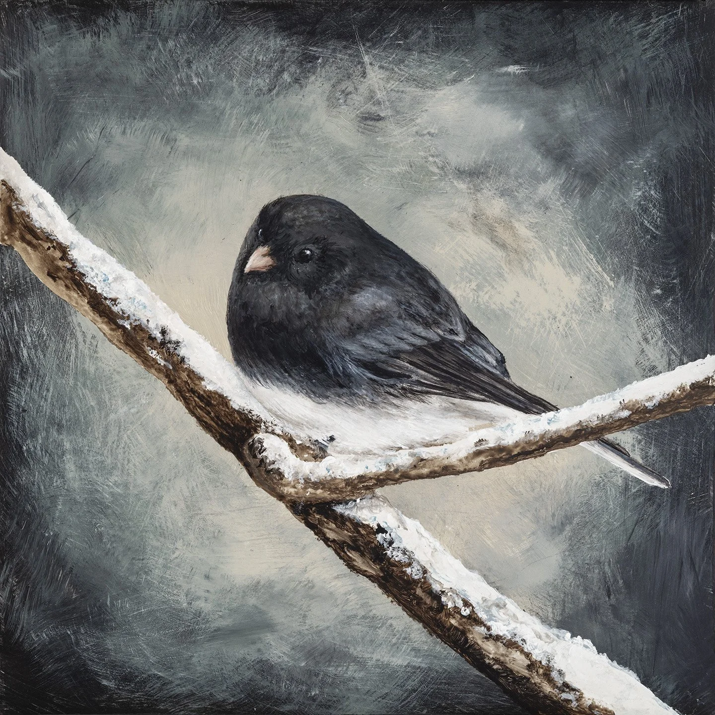 Black-eyed Junco, 8x8, acrylic on wood panel, 2026