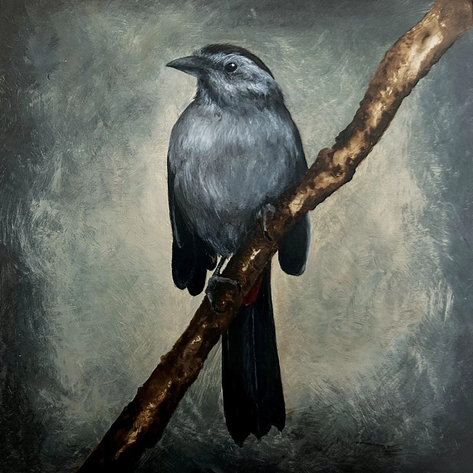 Gray Catbird, 8x8, Acrylic and Oil on panel, 2026