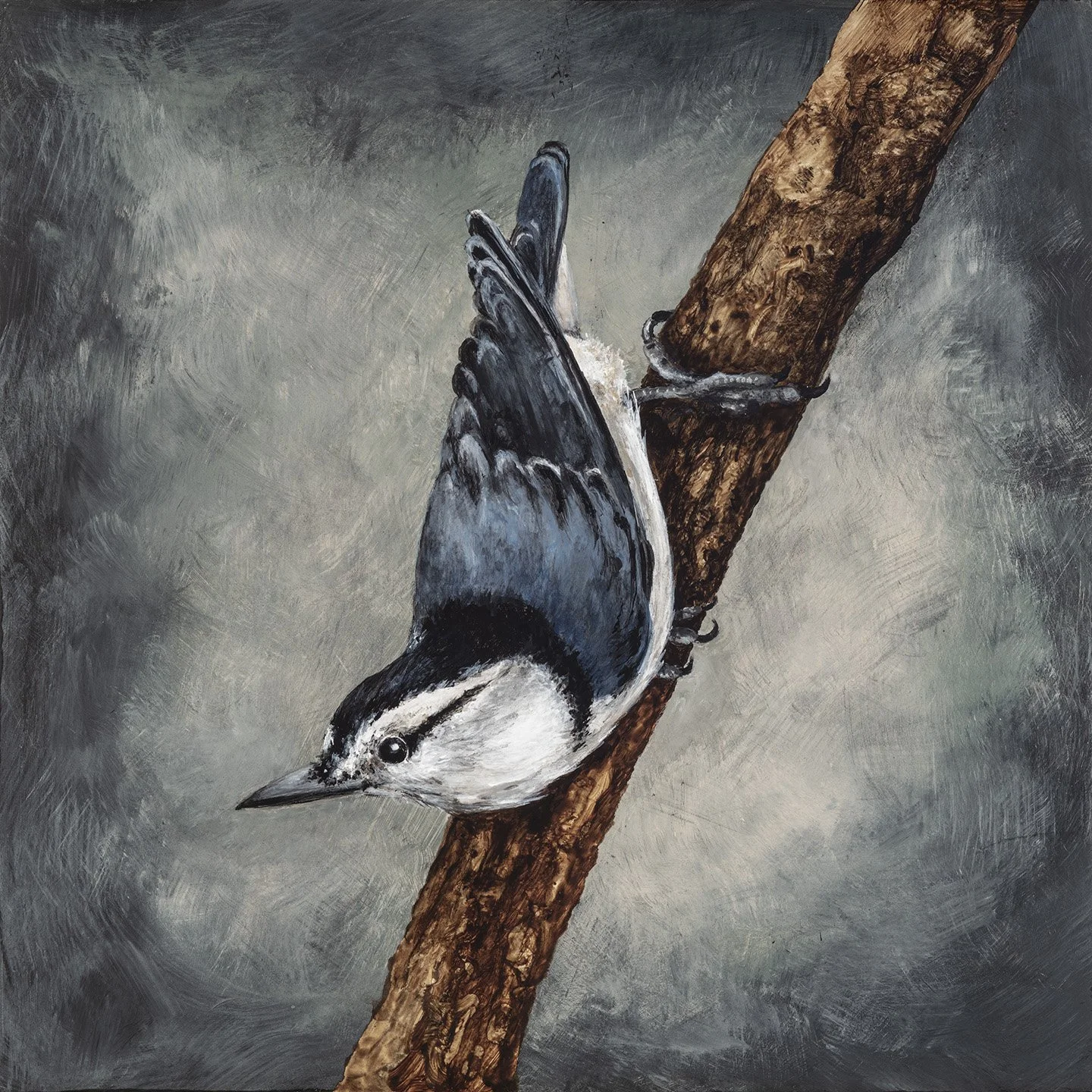 White-breasted Nuthatch, Acrylic on wood panel, 8x8, 2026
