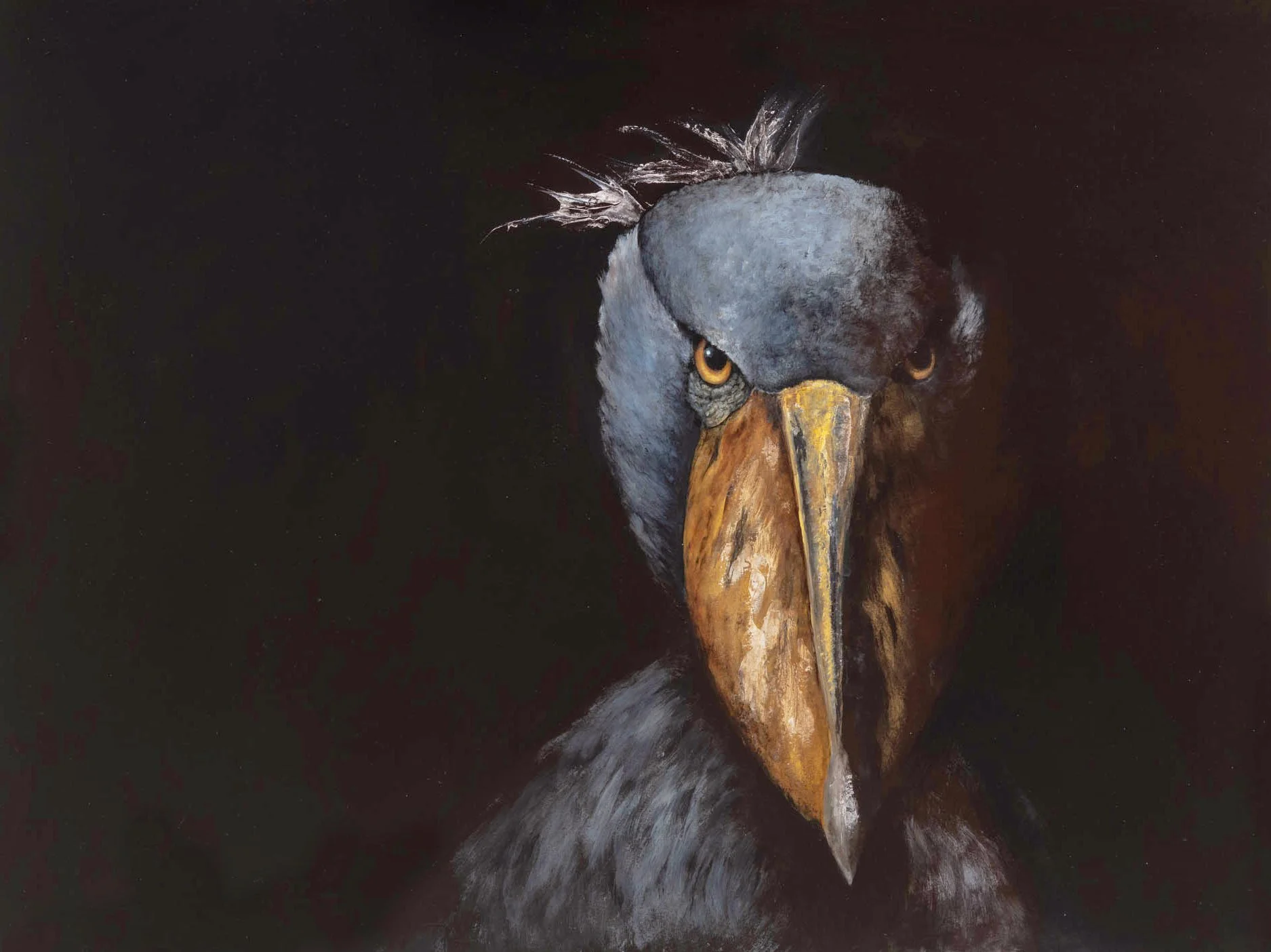 Shoebill, 22 x 30, Acrylic on paper, 2026