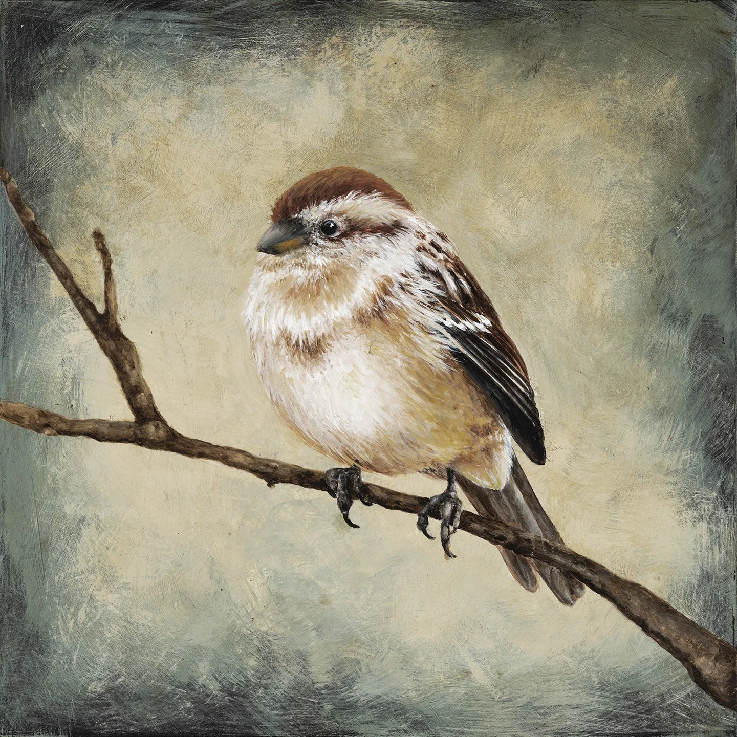 House Sparrow, Acrylic on wood panel, 8x8, 2026