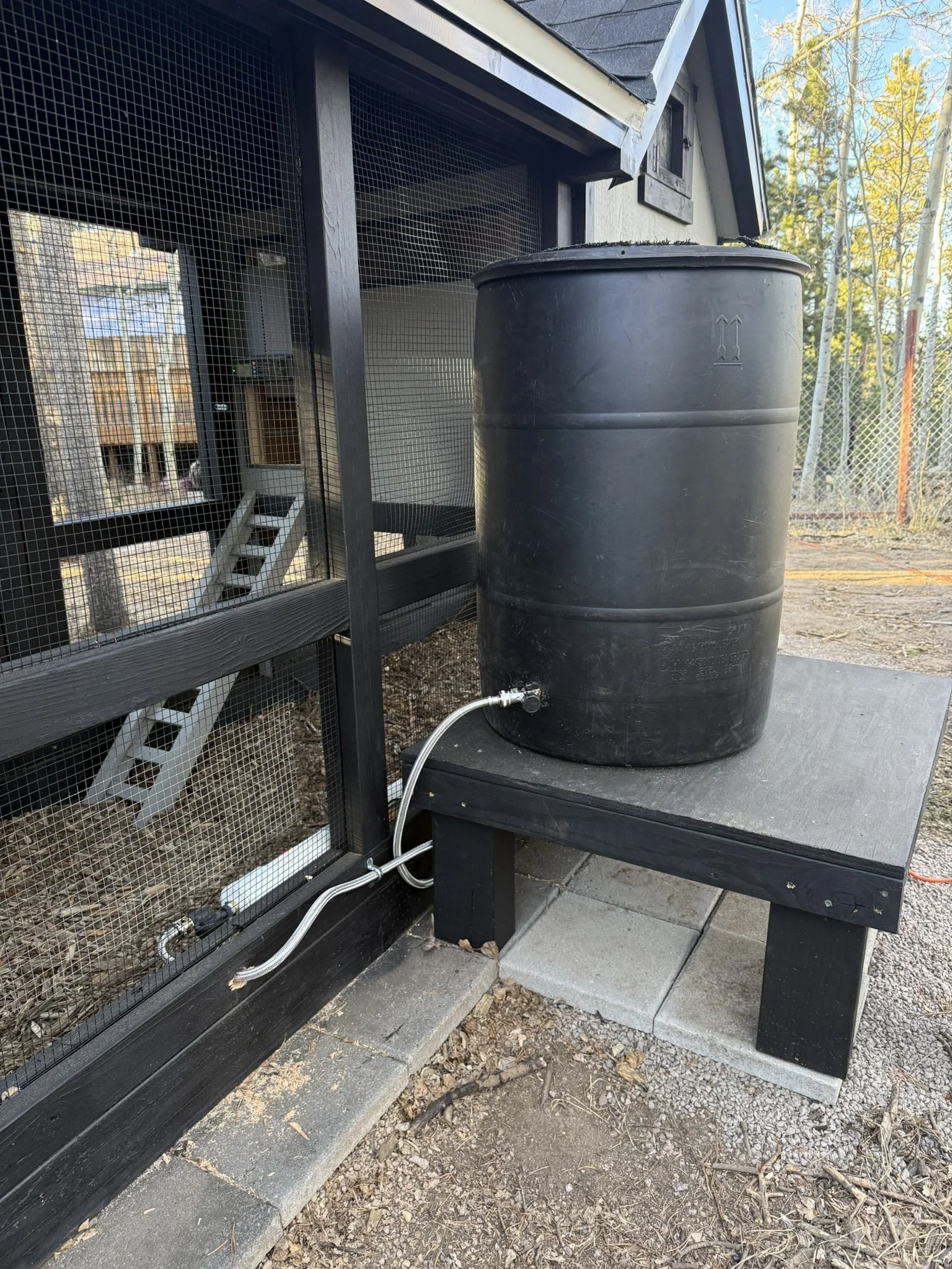 Colorado Coops Hen House 6.JPEG