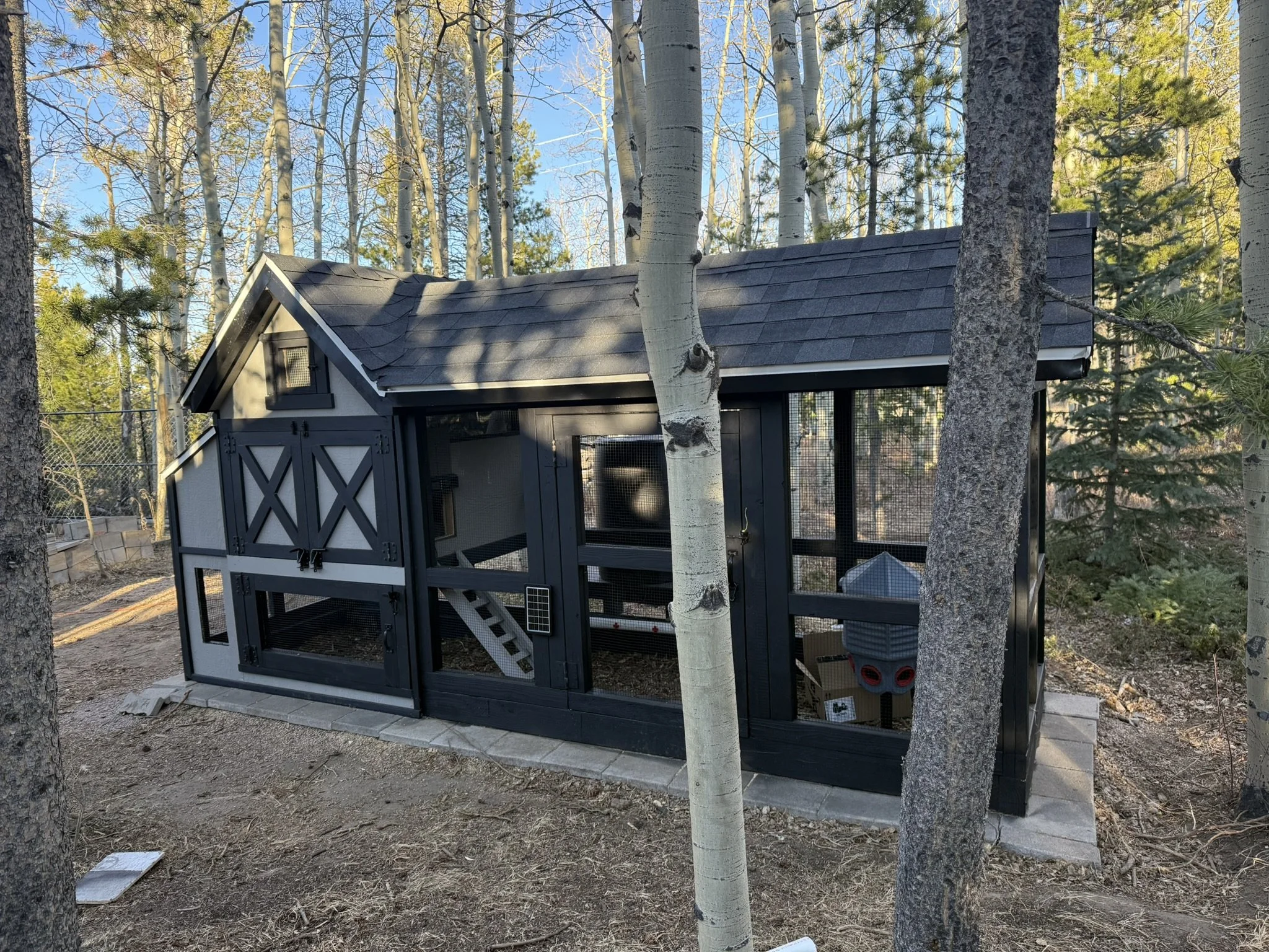 Colorado Coops Hen House 7.JPEG