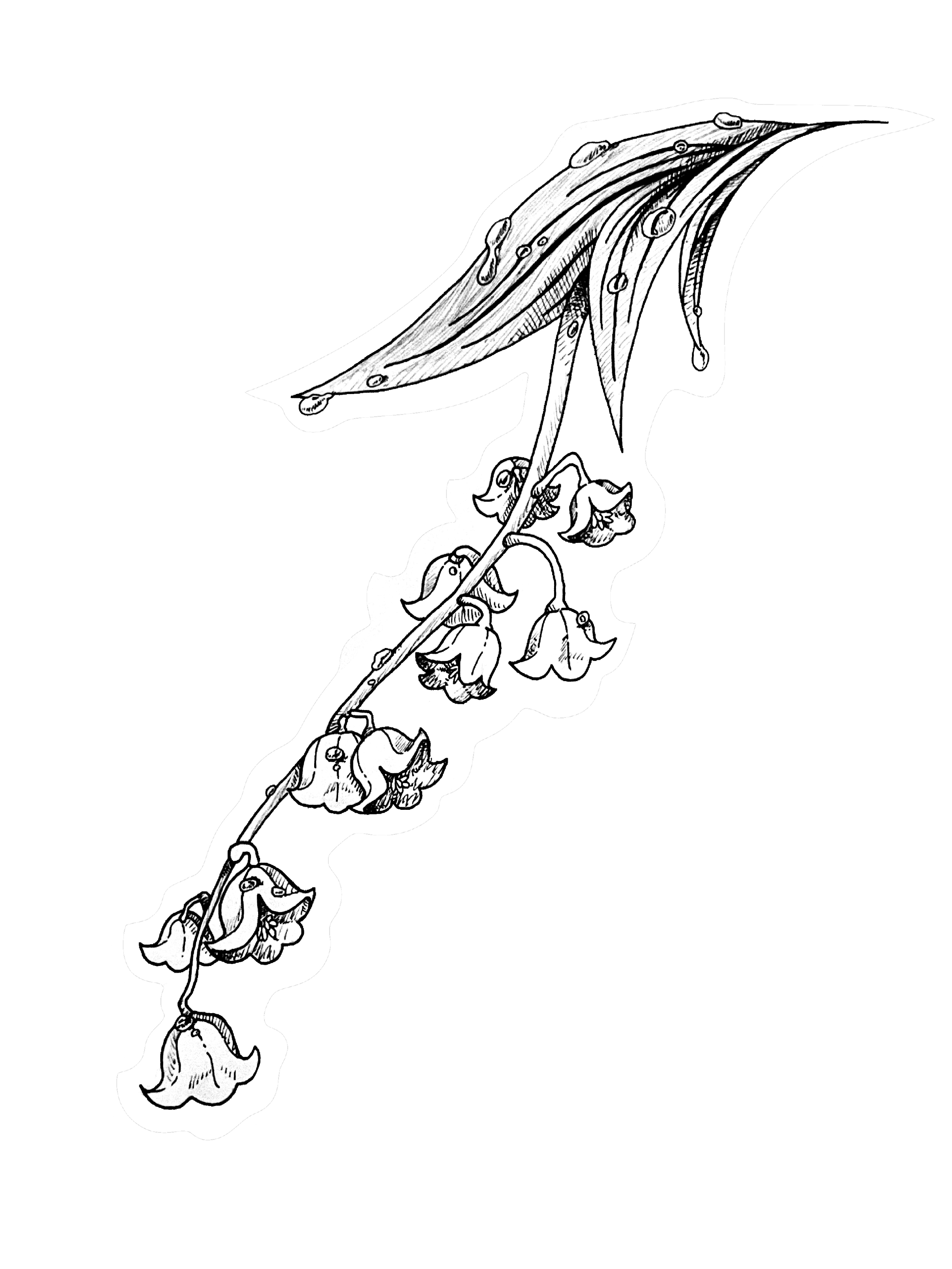 May - Lily of the Valley