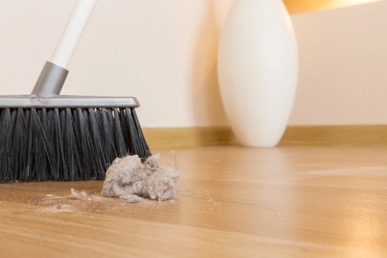 broom-6786526_1280.jpg