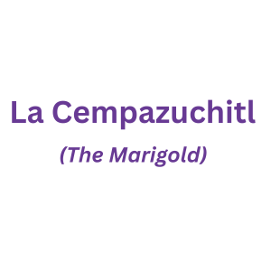 a0 La Cempazuchitl Level.png