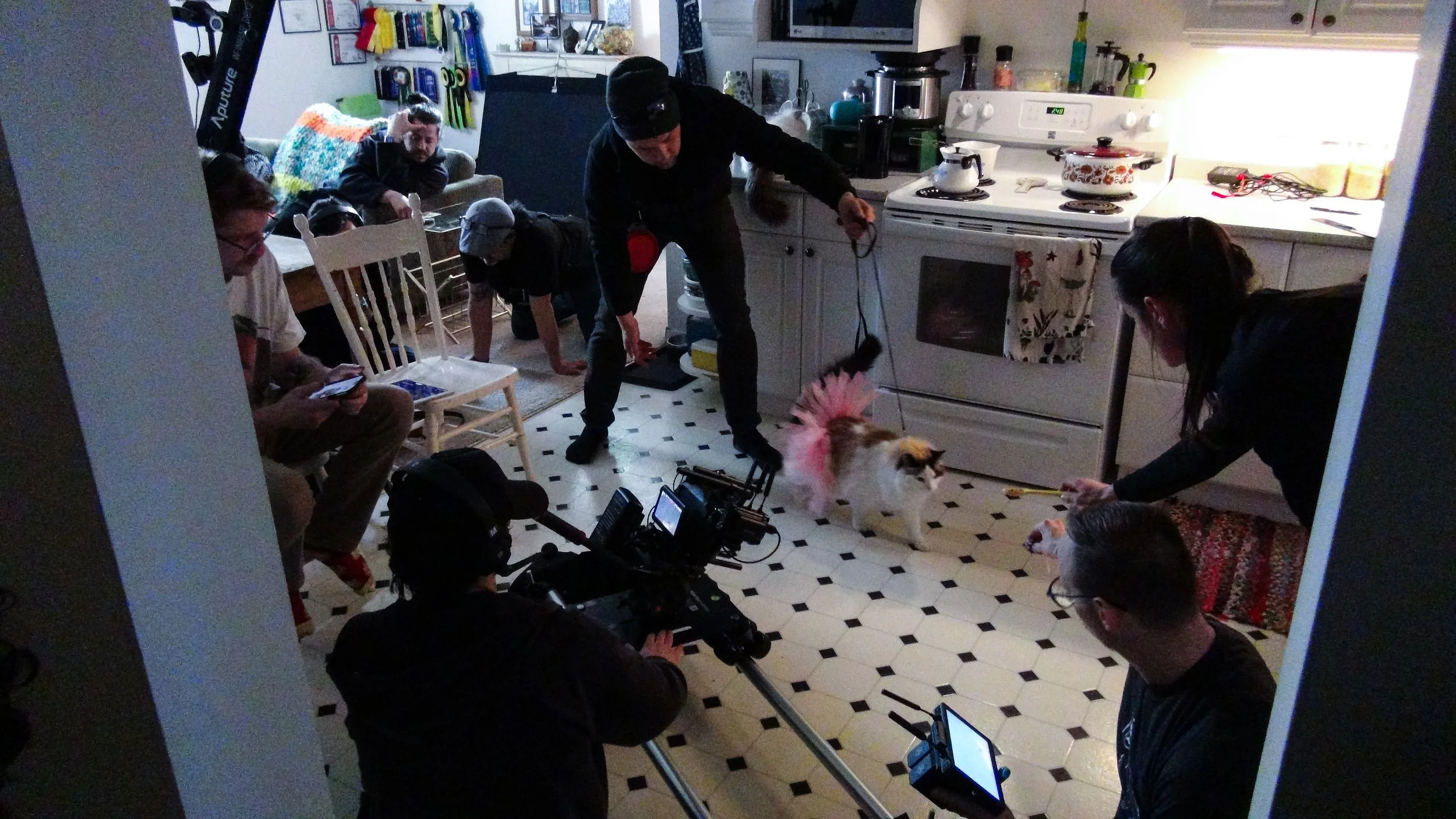 DO-MEOW-NATION_BTS PHOTOS_JAY AVILLA-42.jpg