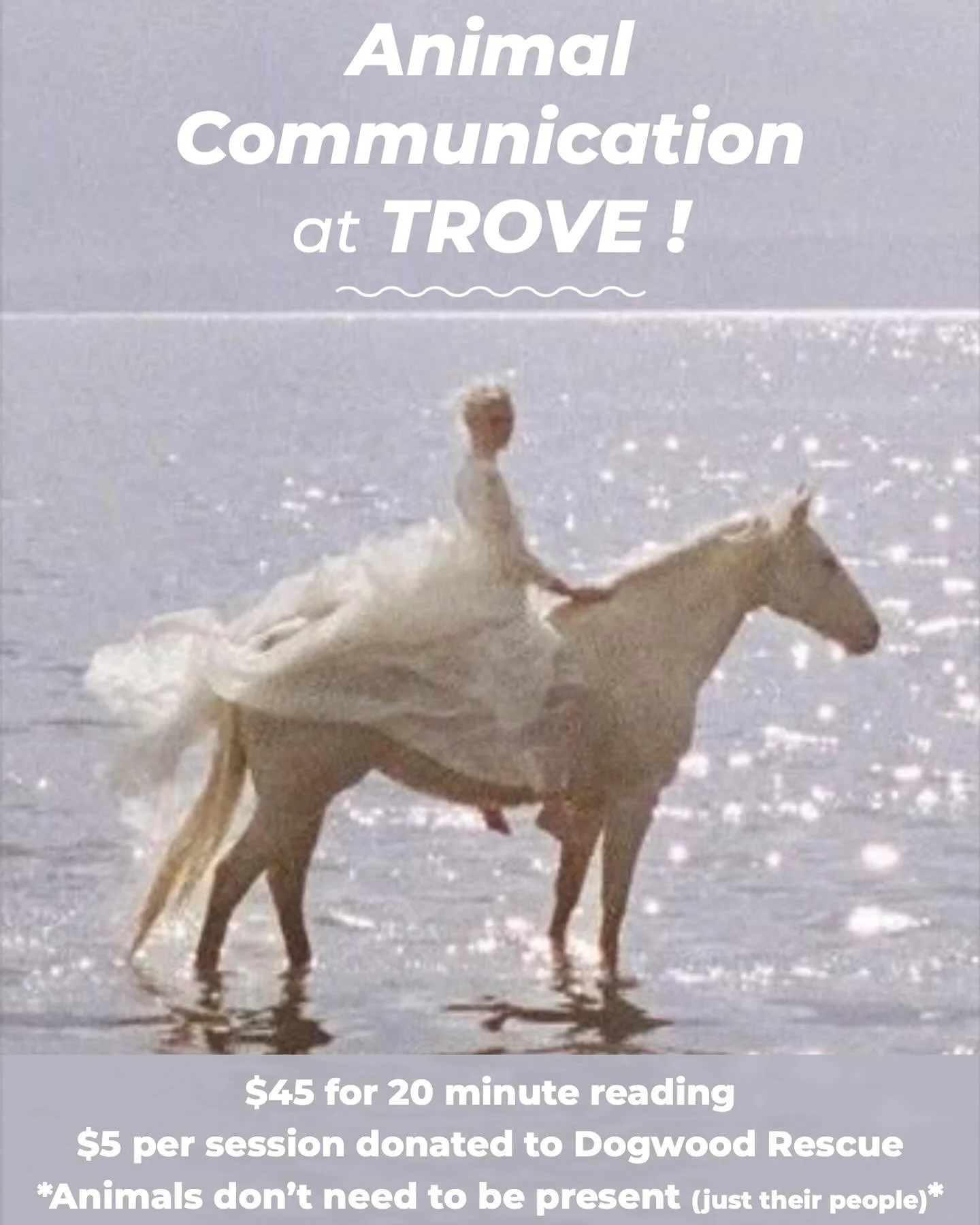 This Sunday, July 27th, we will host the talented&nbsp;Taya Louisa&nbsp;who will be offering Animal Communication sessions. She has a documented history of being able to tap in with various types of animals and has helped with training, behavior, hea