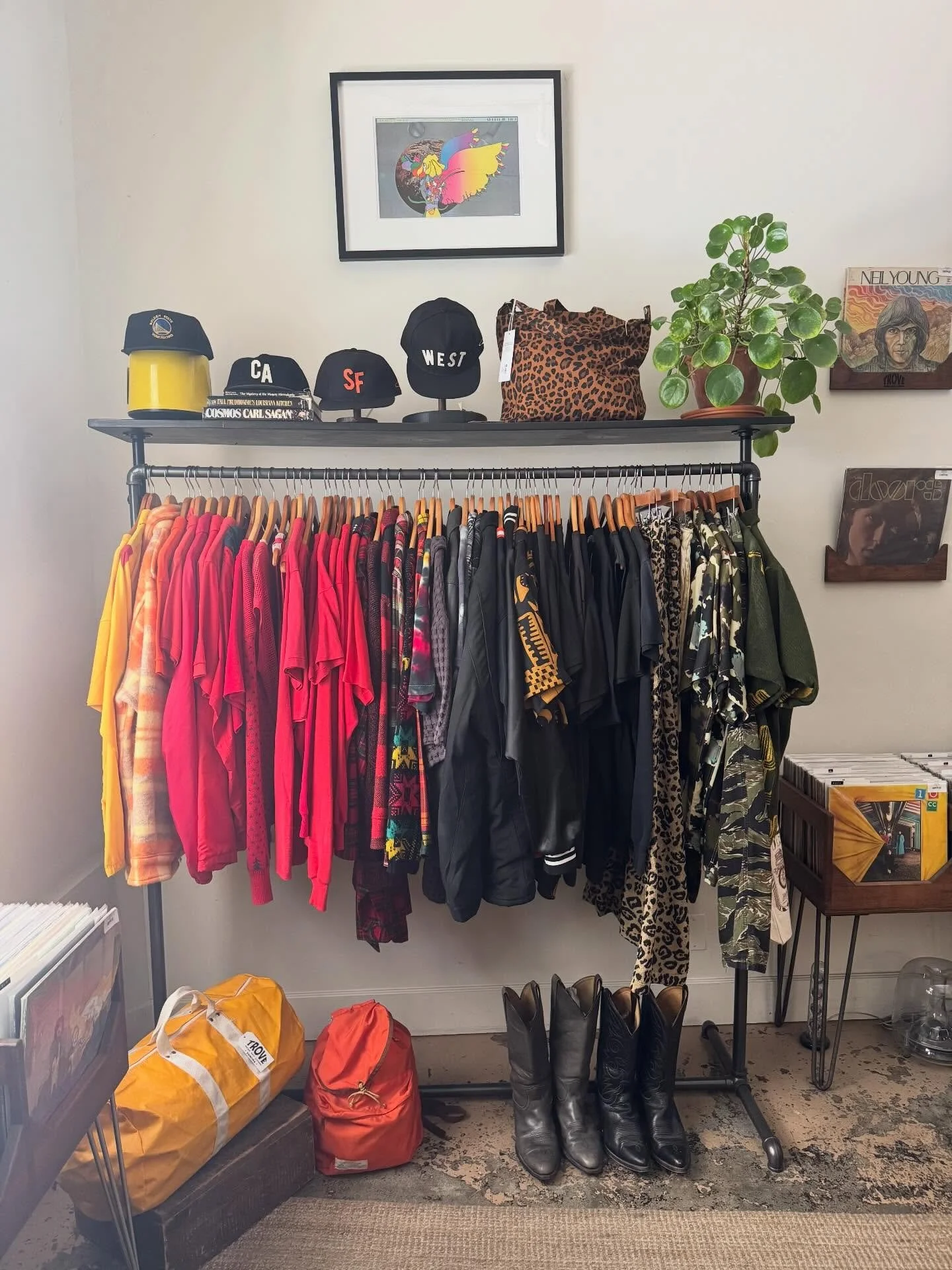💛❤️🖤💚