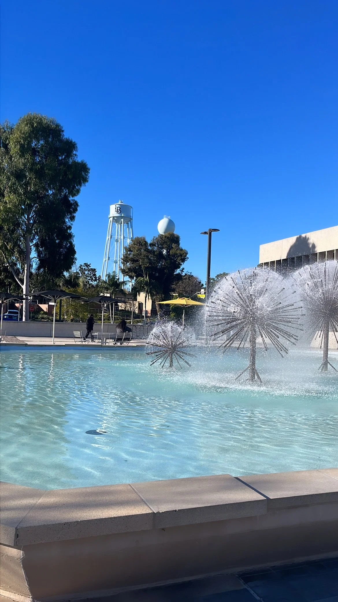 Necesidades Básicas: Desarrollando el subsidio de renta en CSULB