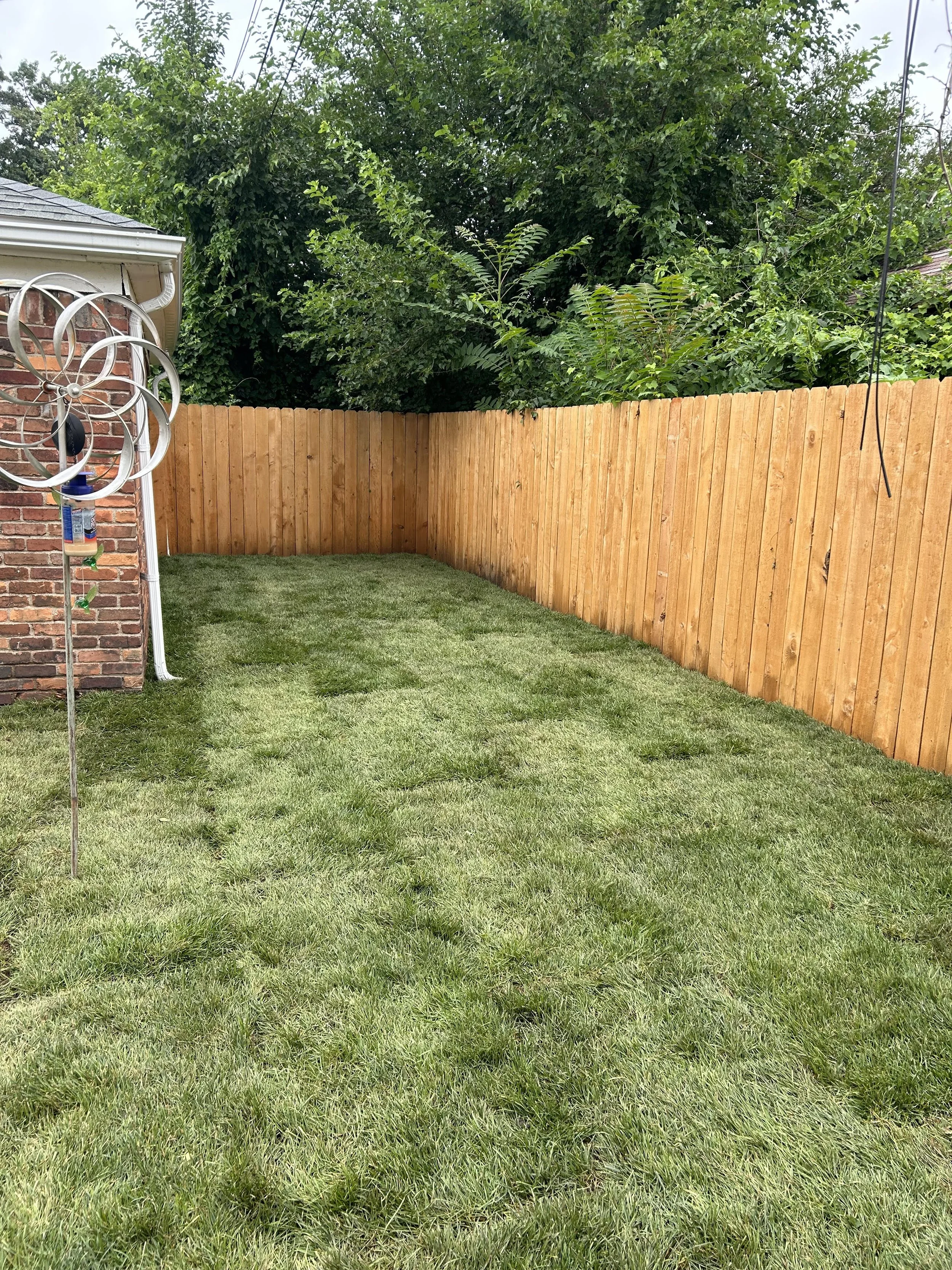 Carmen Henry Final Photo.jpg