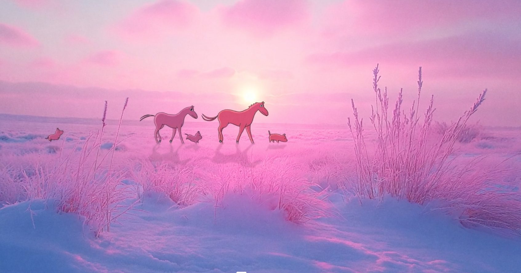 Screen Shot 2026-02-16 at 10.34.26 PM.png