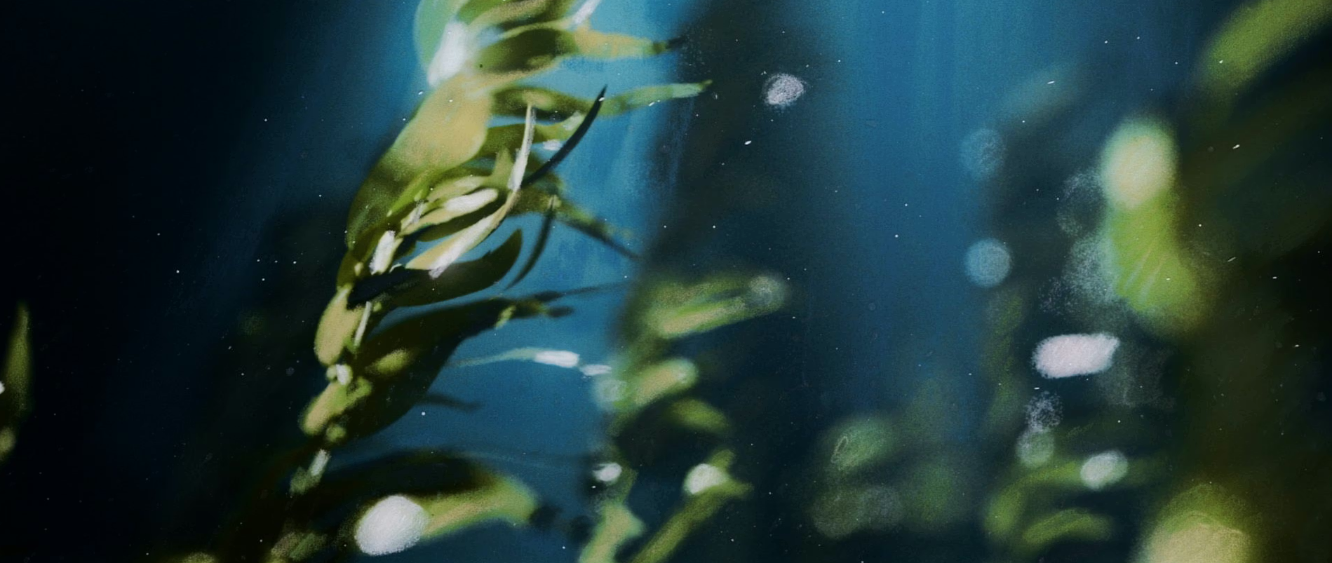 Screen Shot 2026-02-16 at 10.55.12 PM.png