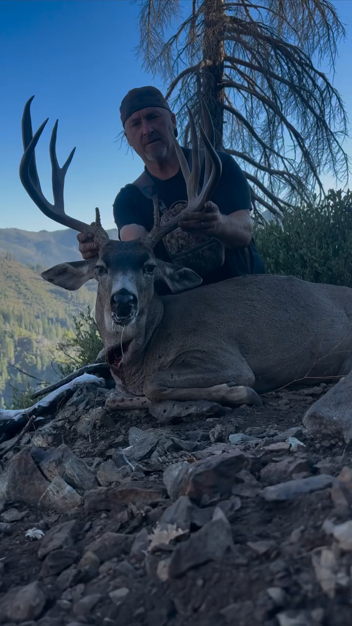 A man holding the antlers of a large deer with a shot wound, resting on rocky ground with mountains and a tree in the background.