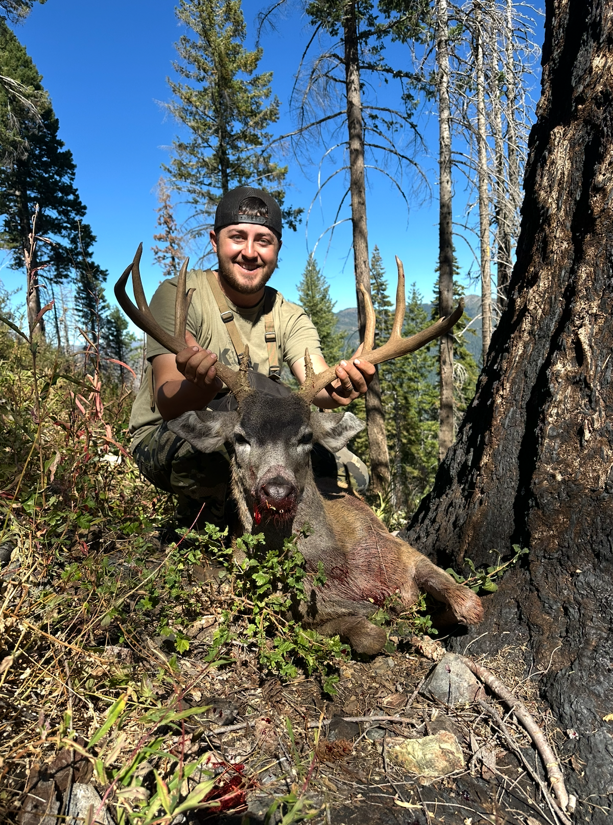 Whitetail frame backcountry guided deer hunting.png