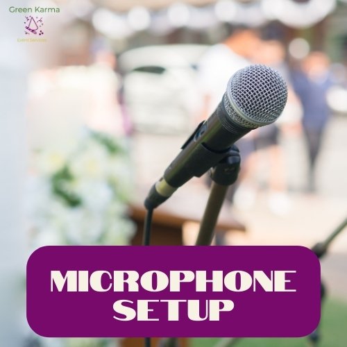Microphone setup.jpg