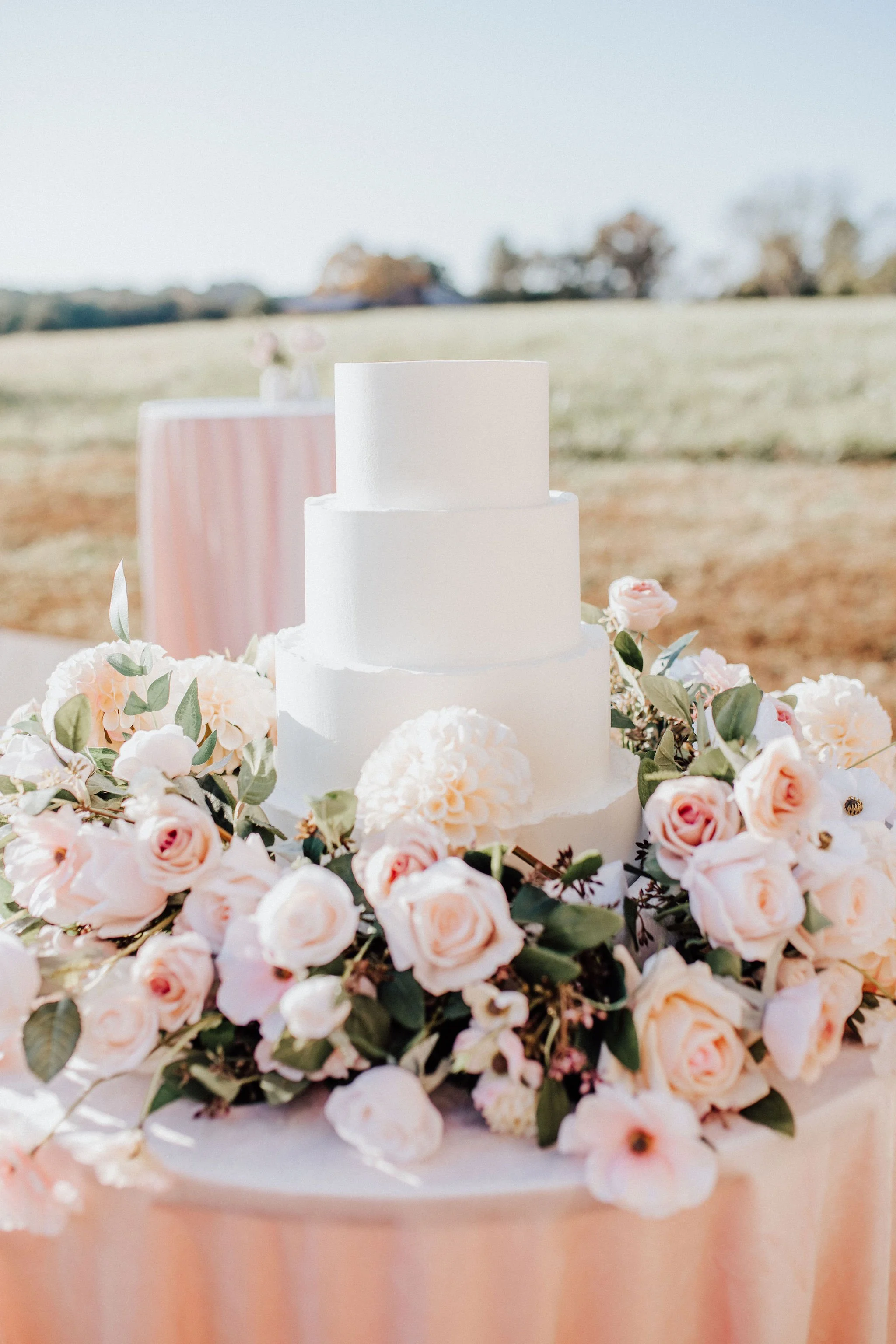 White wedding cake with blush florals by a field in the Smoky Mountains, Tn.
