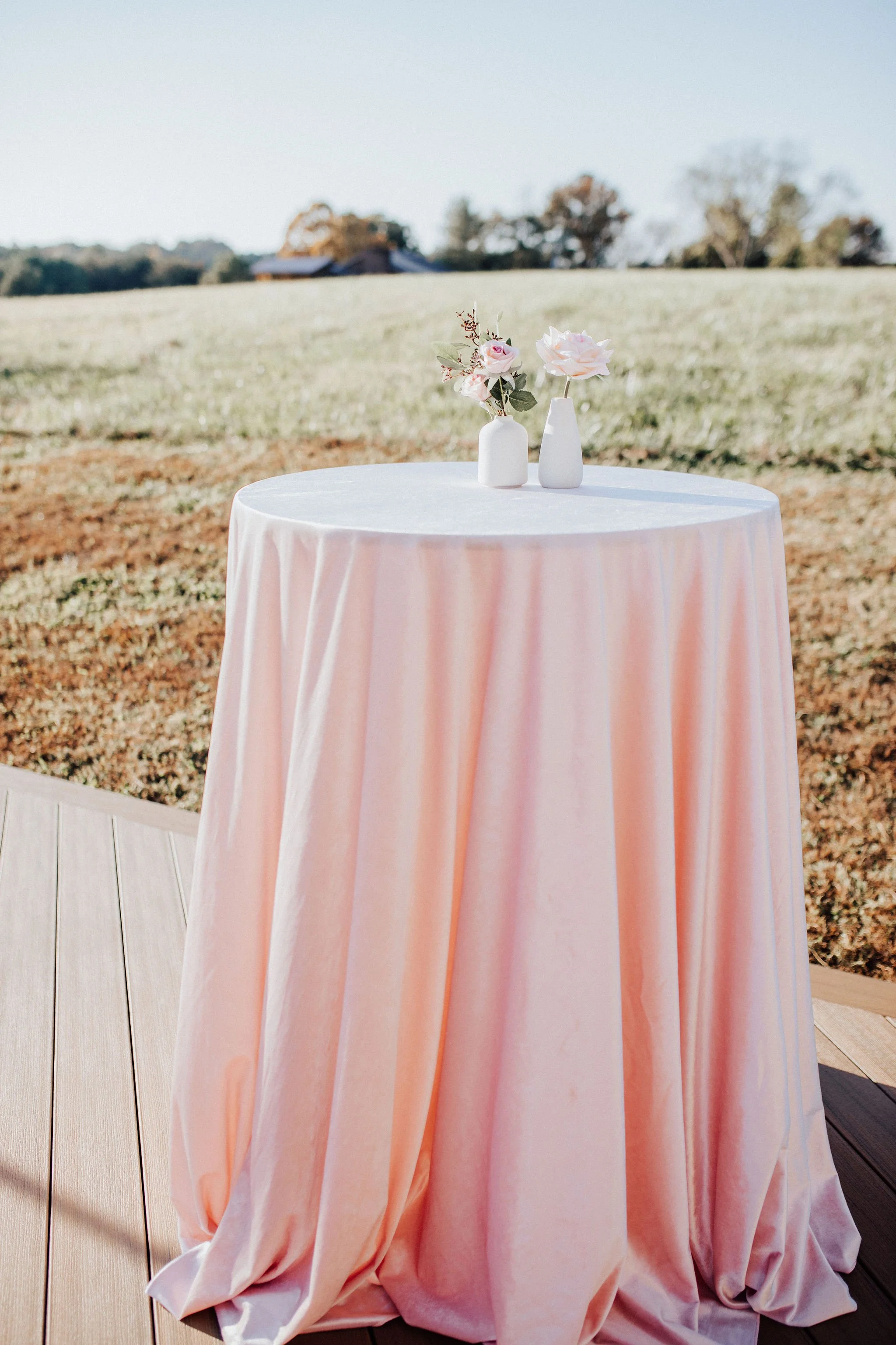 Micro Wedding cocktail hour table near a field near Maryville, TN.