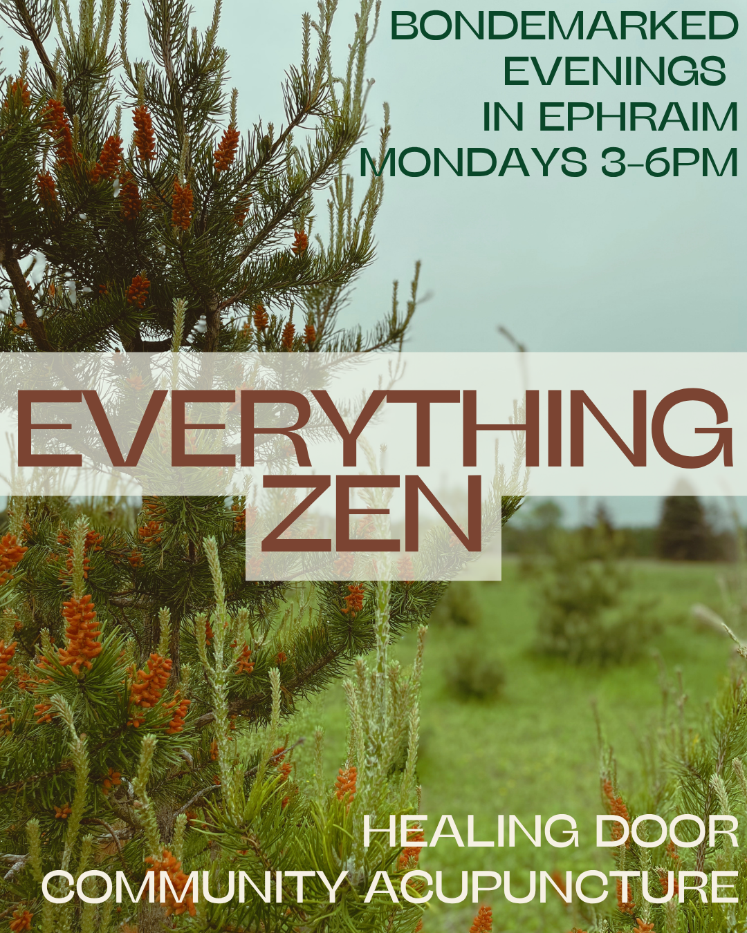 Bondemarked Evenings In Ephraim Community Acupuncture