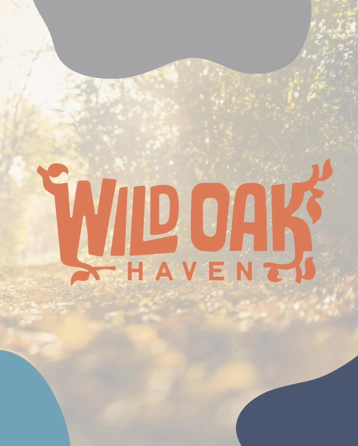 Virtual Orientation/ Q&amp;A