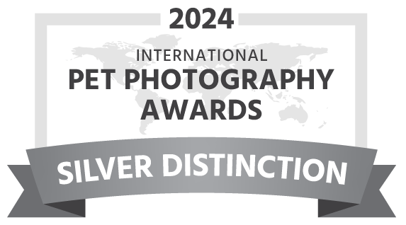 IPPA-2024-award-silver-distinction-dark.png
