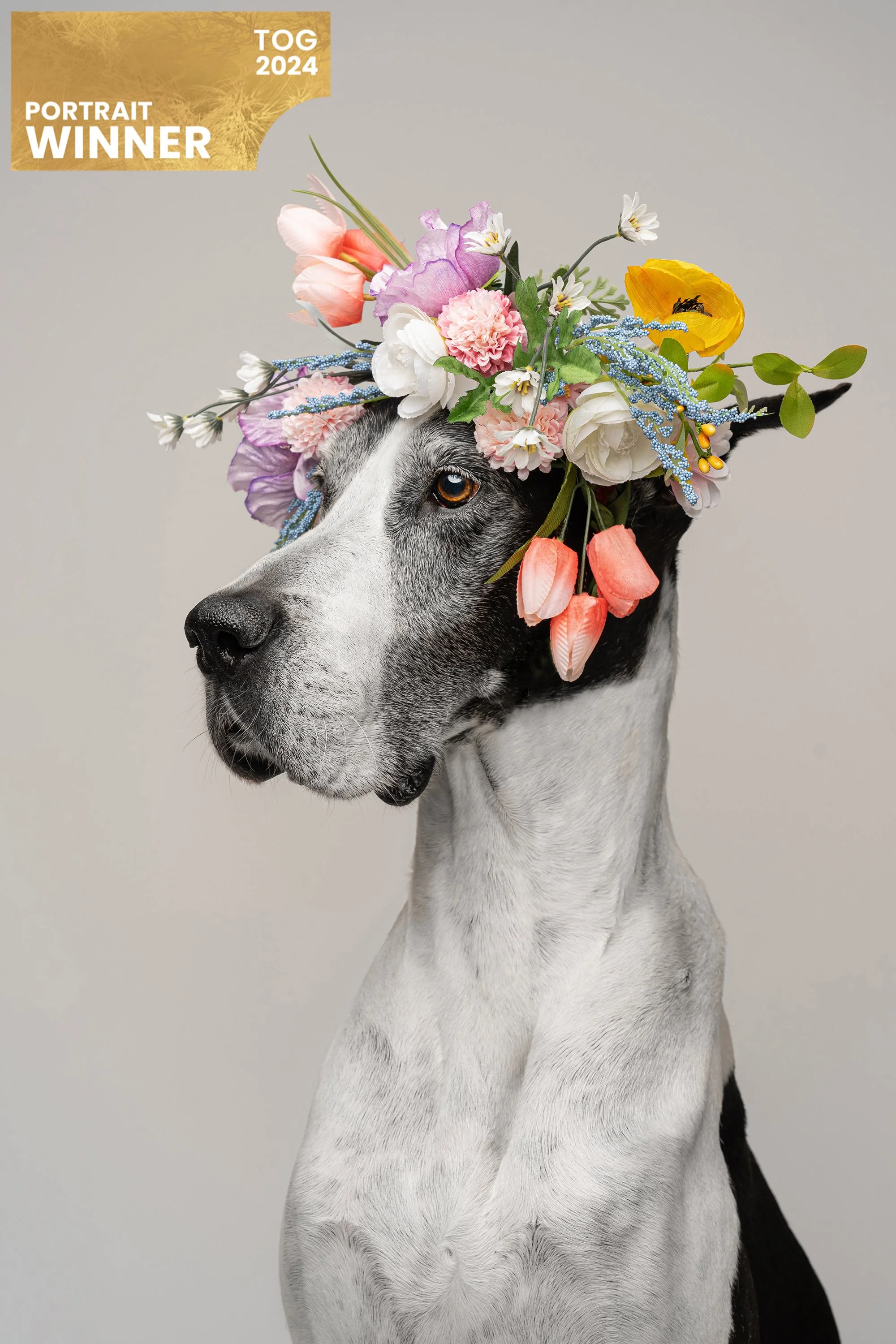 A Crown of Flowers and a Farewell to 2024: Honoring Dani