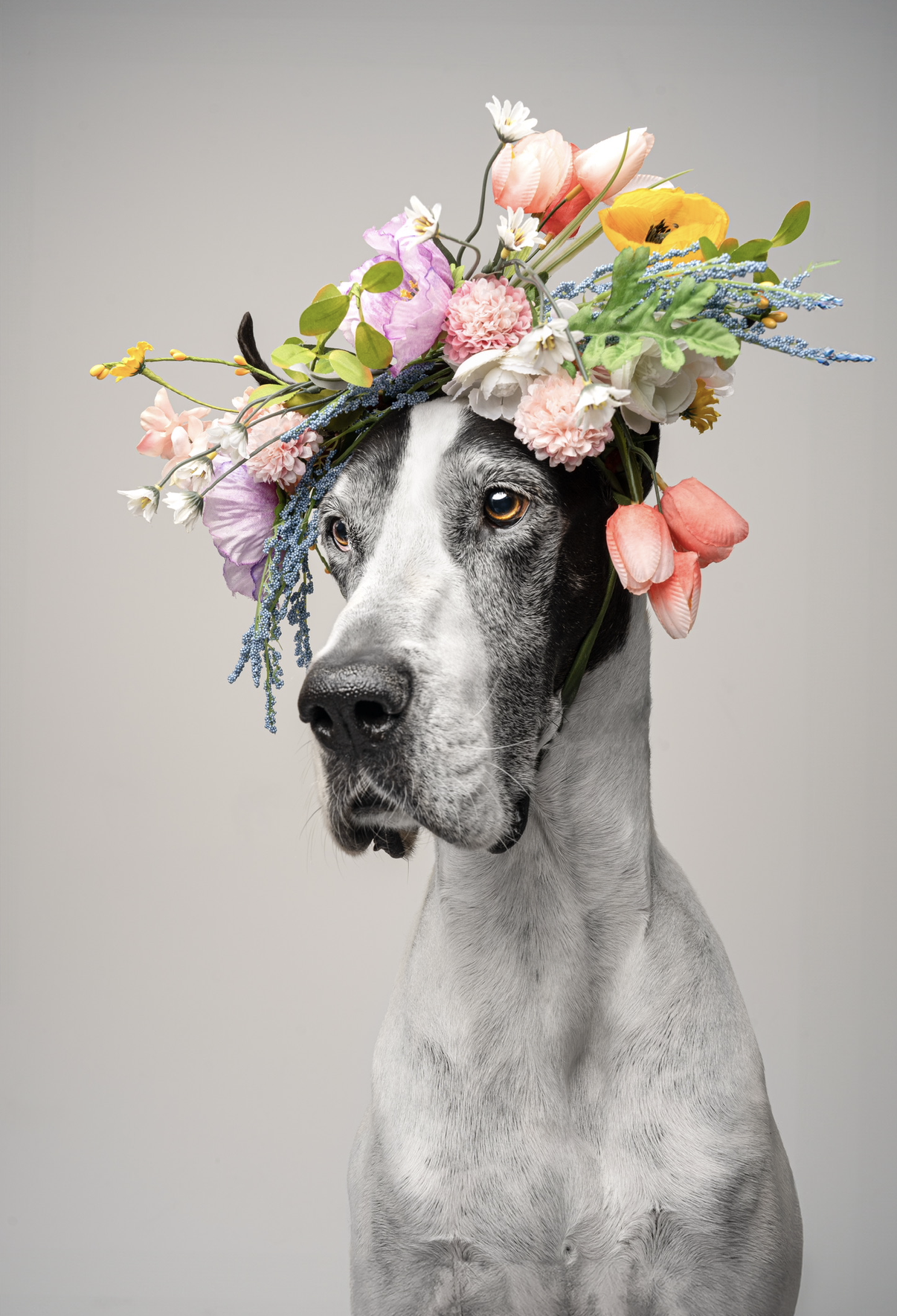 Behind the Portrait: Crown of Flowers