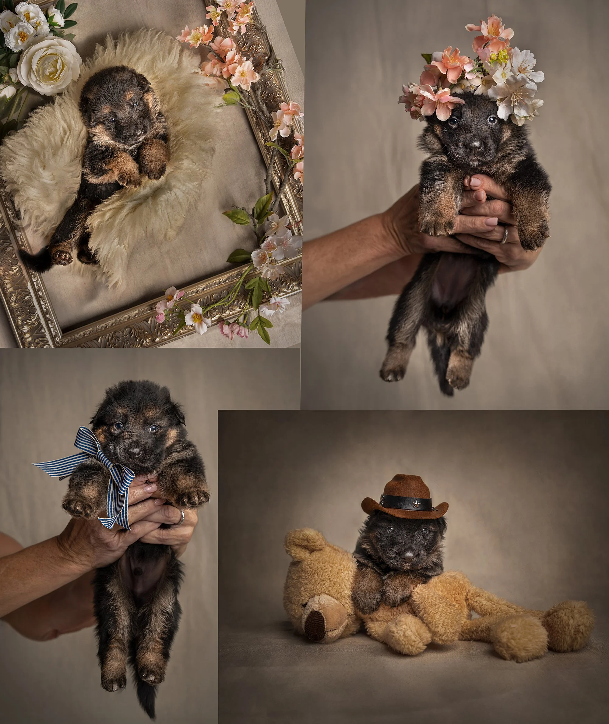 Eight Tiny Lives. One Extraordinary Beginning.