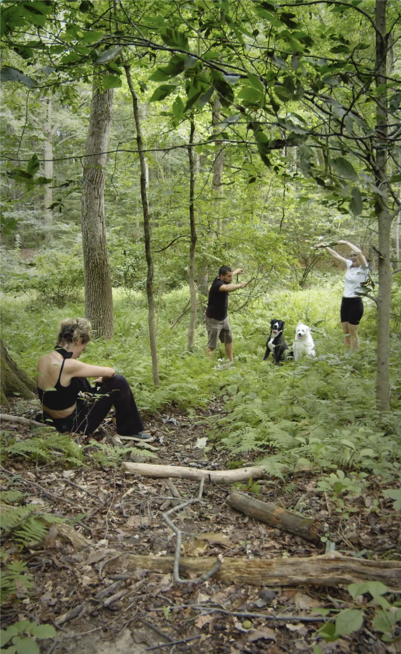 Group of three people with two dogs in a forest during daytime. One person is sitting on the ground, while the other two are standing and interacting with the dogs surrounded by trees and green foliage.