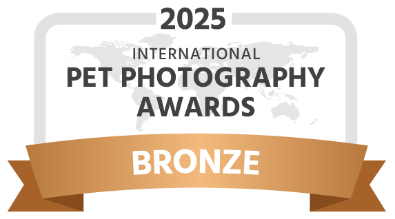 IPPA-2025-award-bronze-dark.png