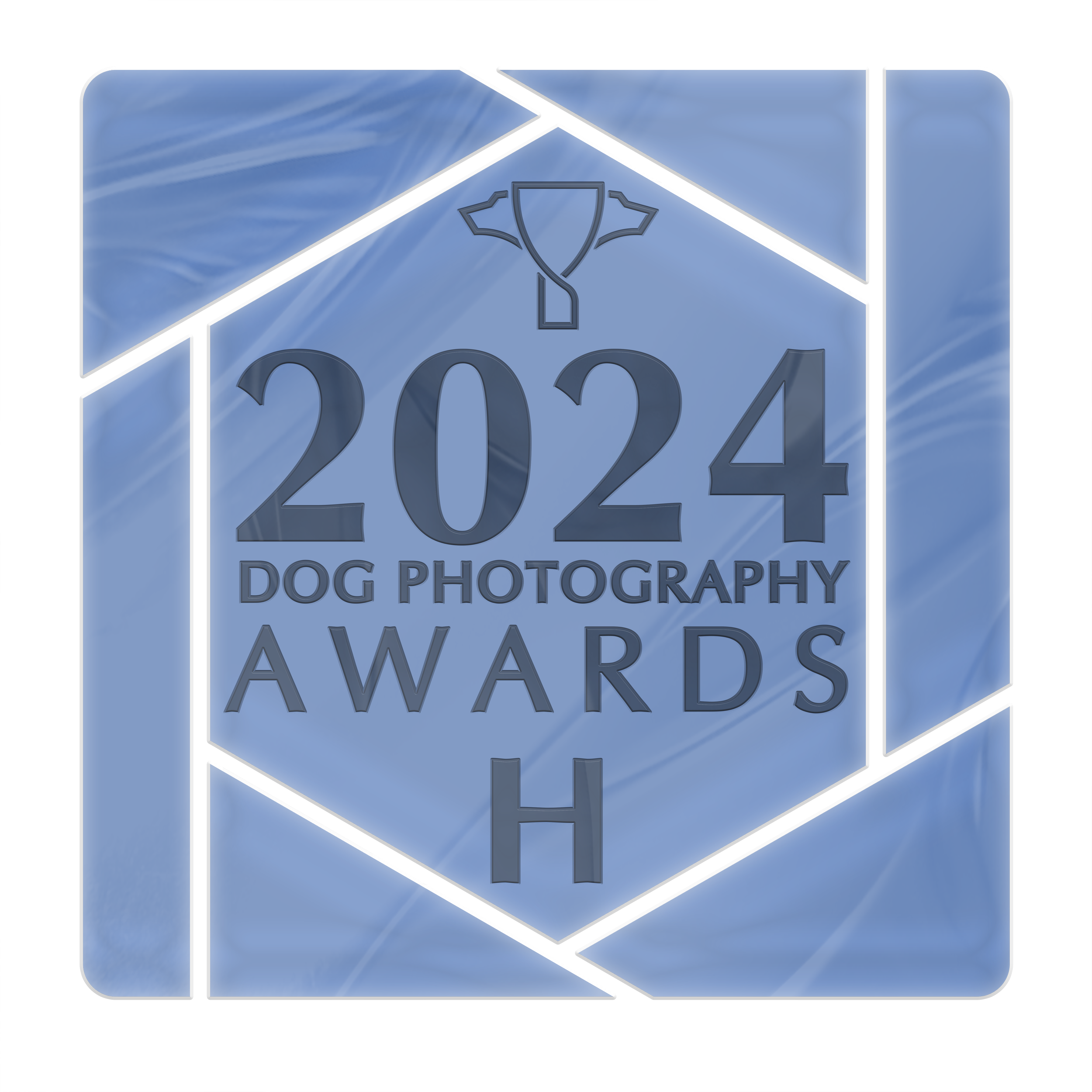 woof-house-studio-dog-photography-awards-2024-honorable-mention.PNG
