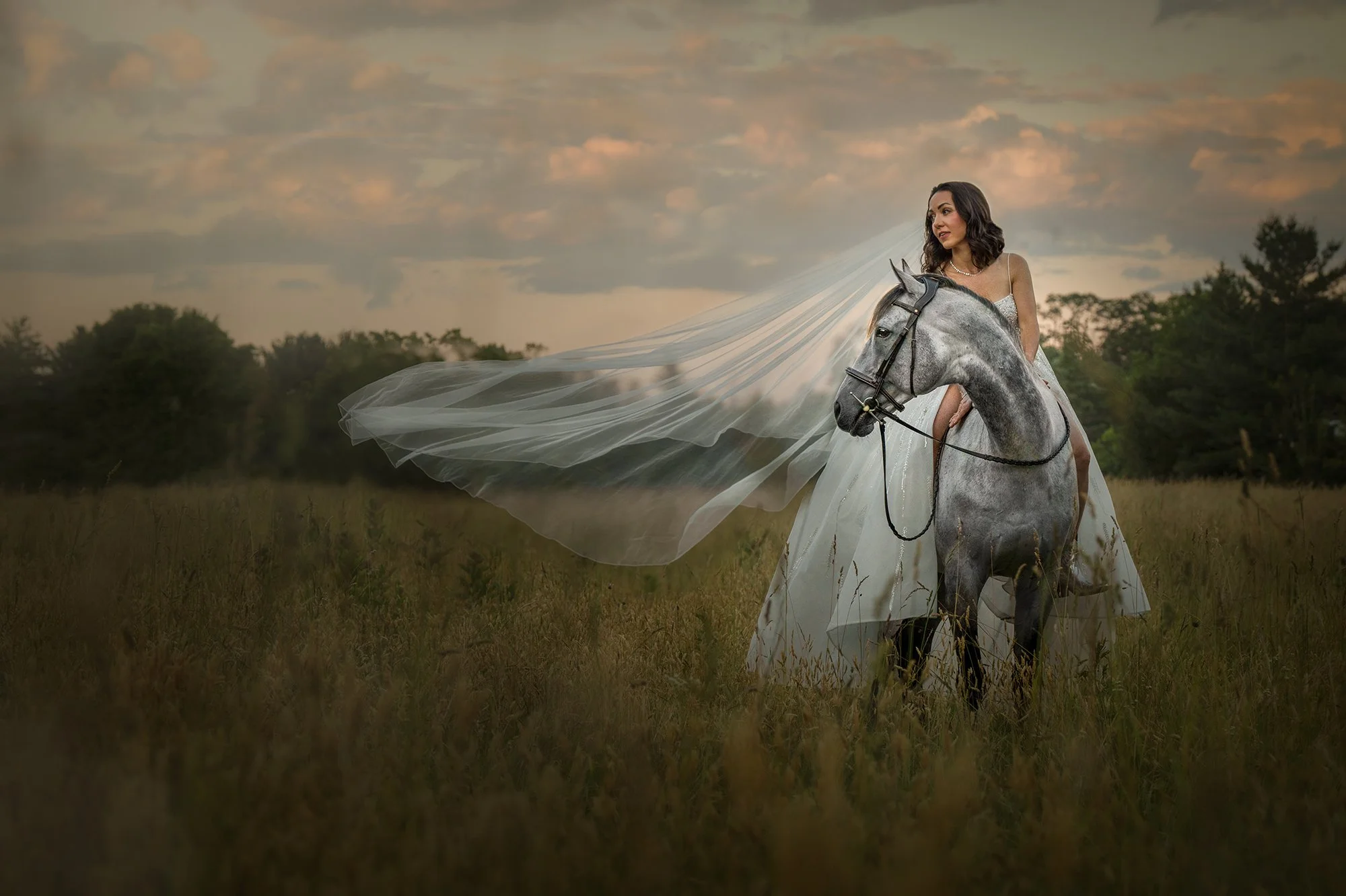 nj-equine-photographer-bride-horse-sunset.jpg