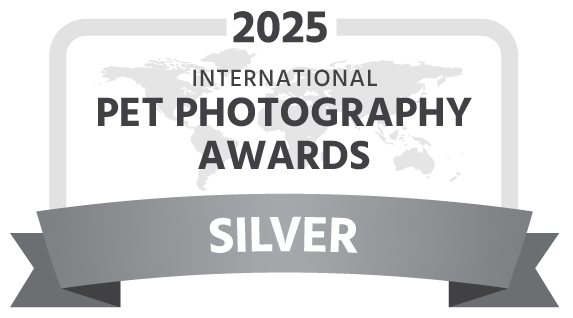 IPPA-2025-award-silver-dark.png
