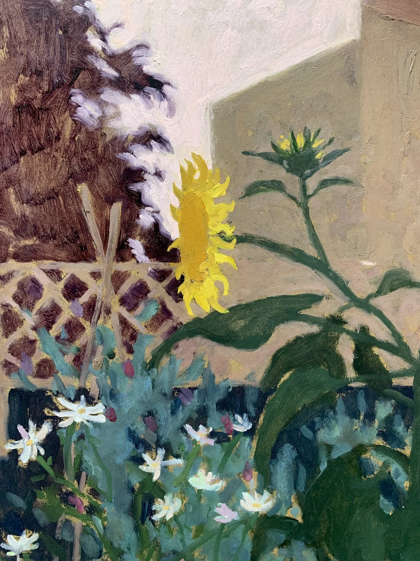 sundown_close up.jpg