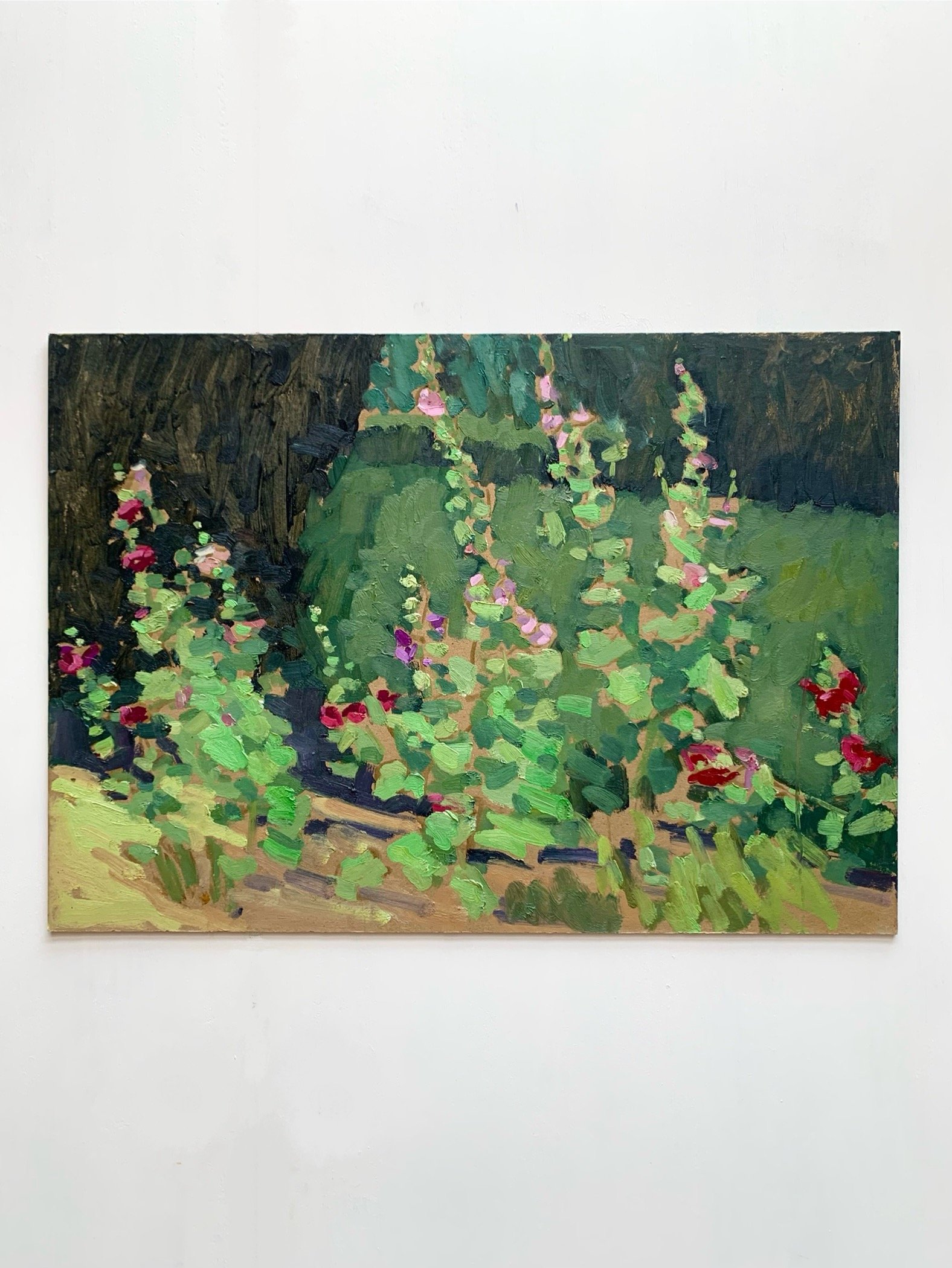 Stacey Gledhill_ August Hollyhocks_2025_oil on archival card_41 x 59cm.jpg