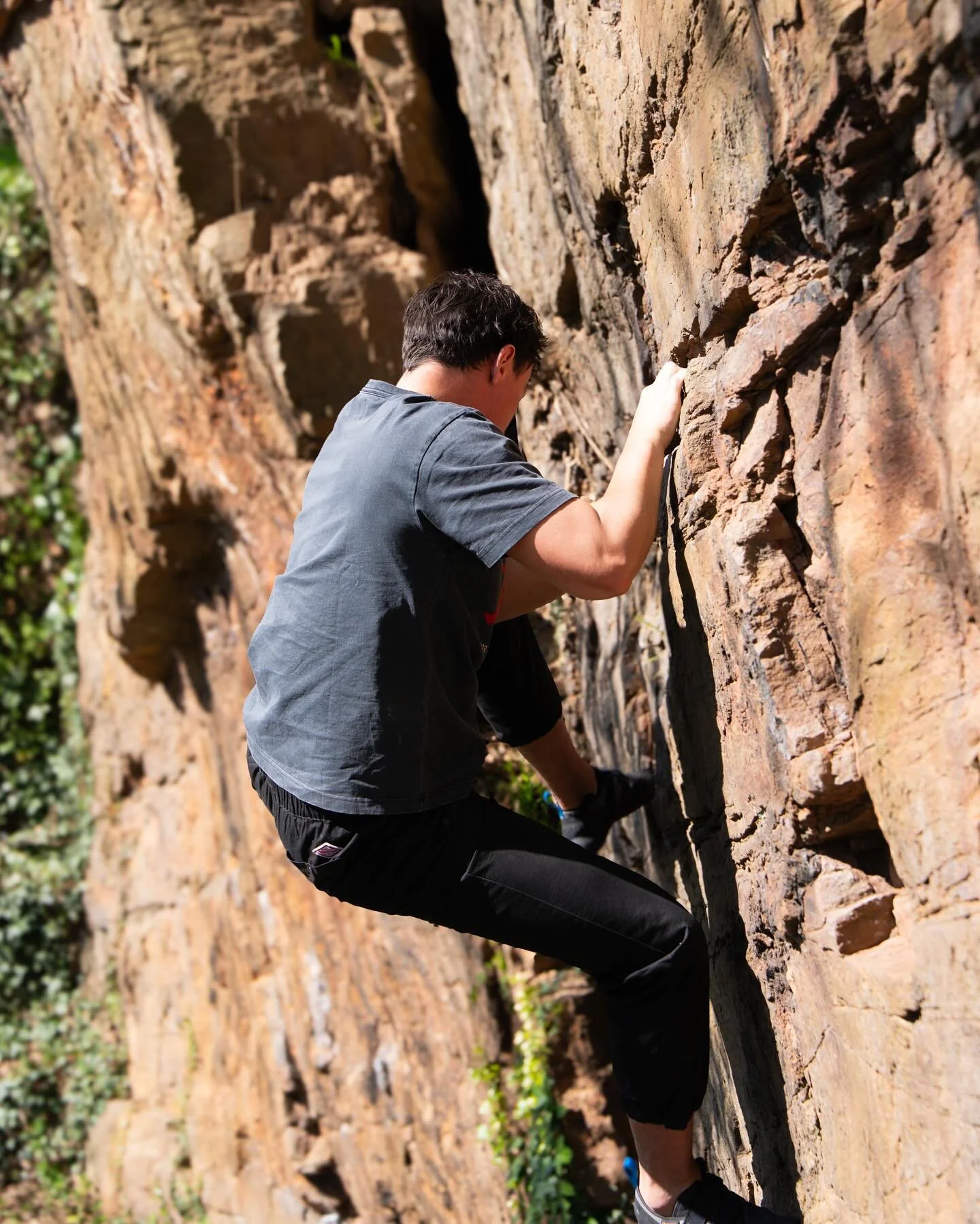 Friends outside! (Furry and non-furry variety)