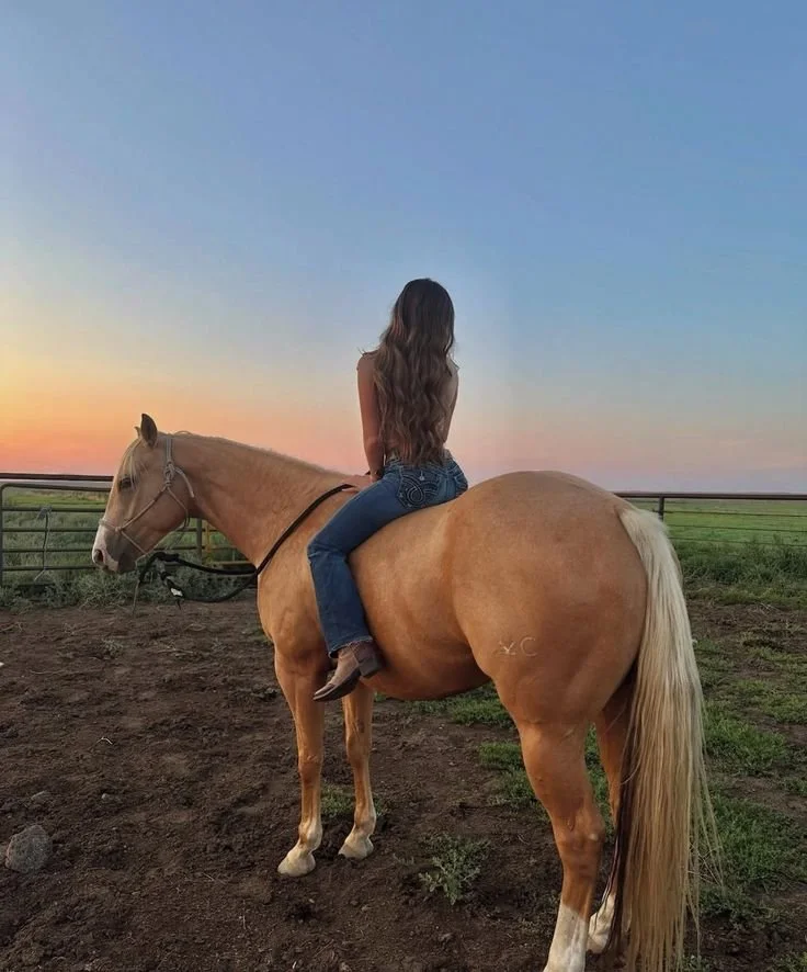 Dream Horse